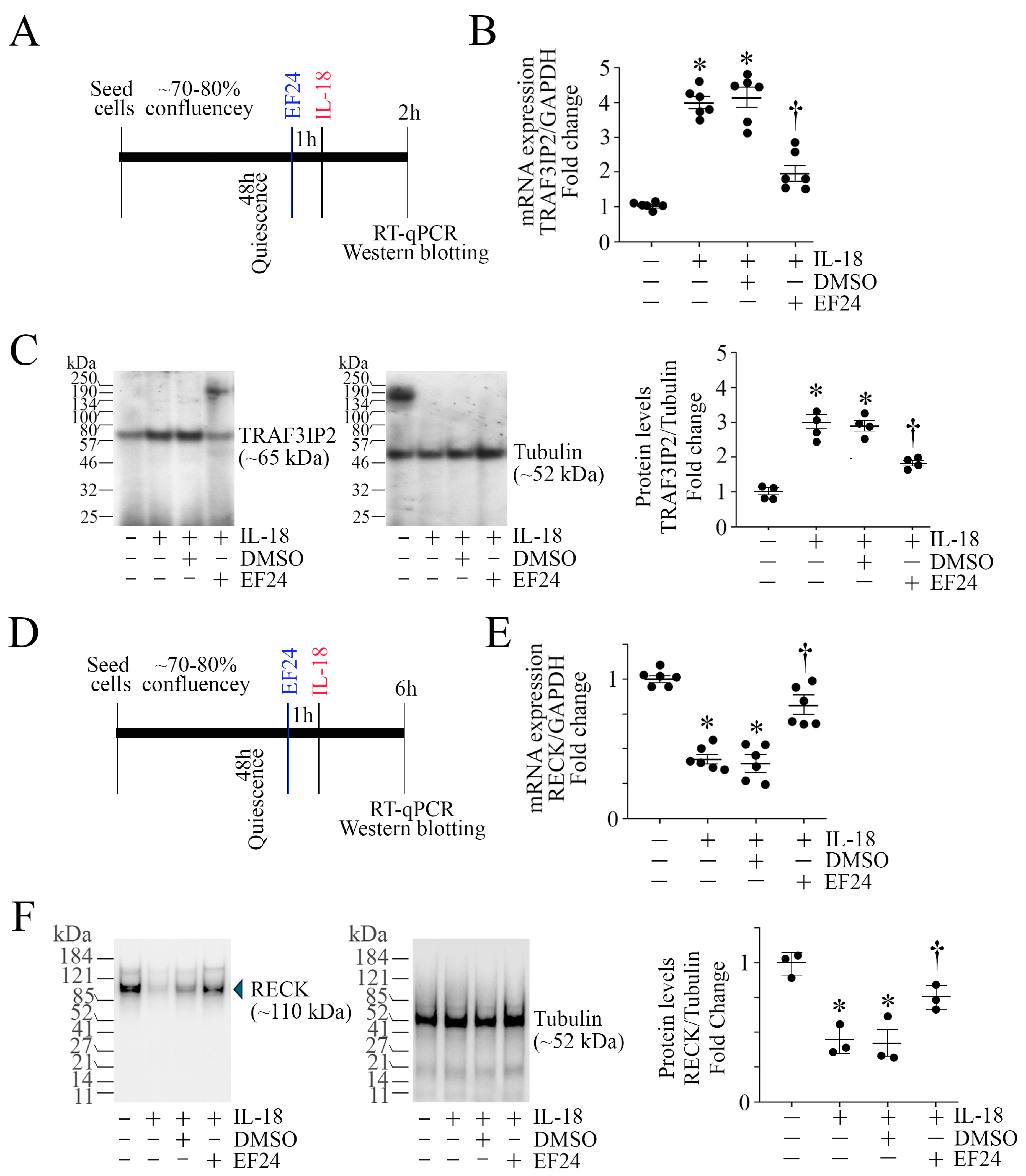 Cells 13 01673 g007 Cells 13 01673 g007