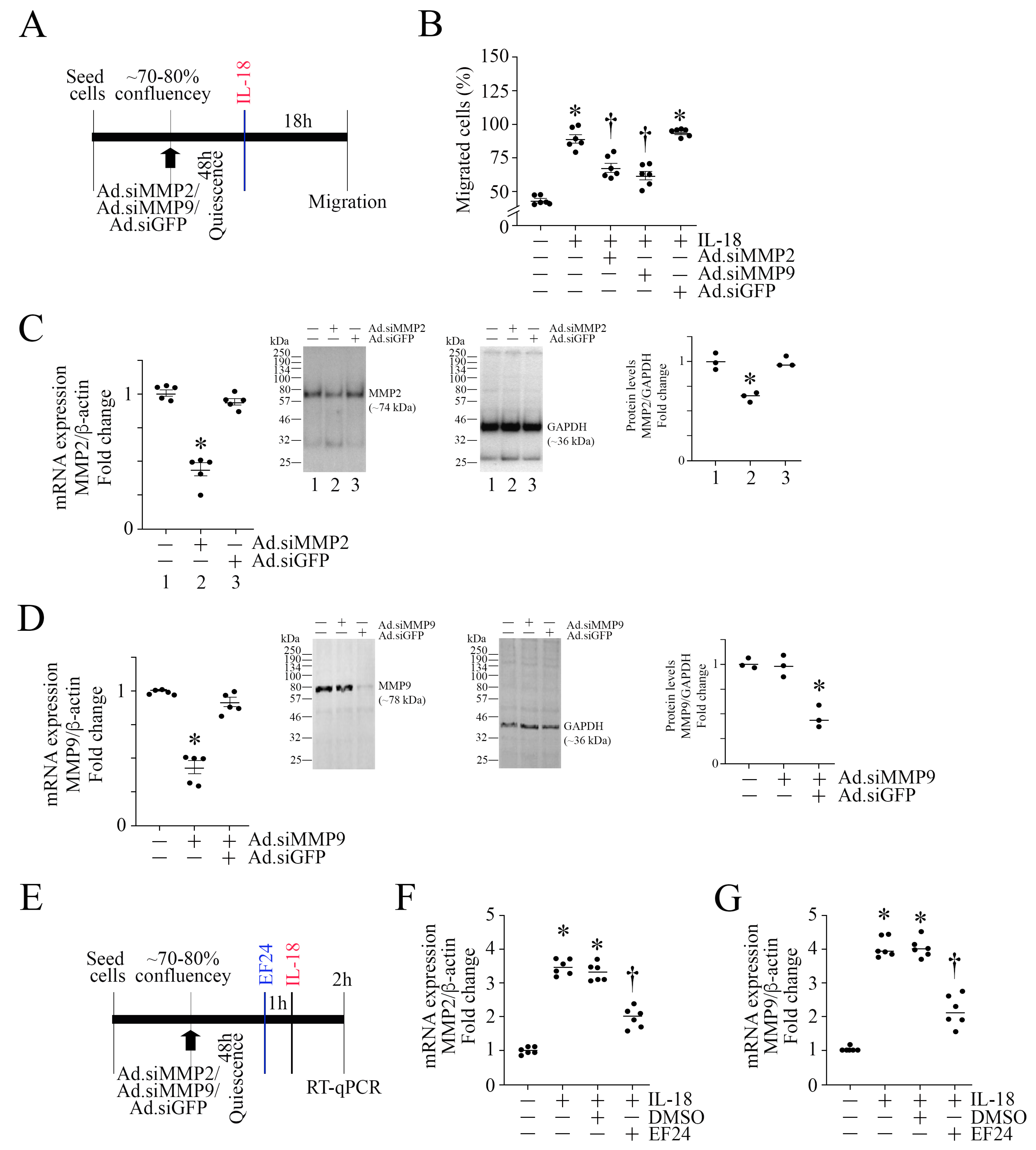 Cells 13 01673 g009 Cells 13 01673 g009