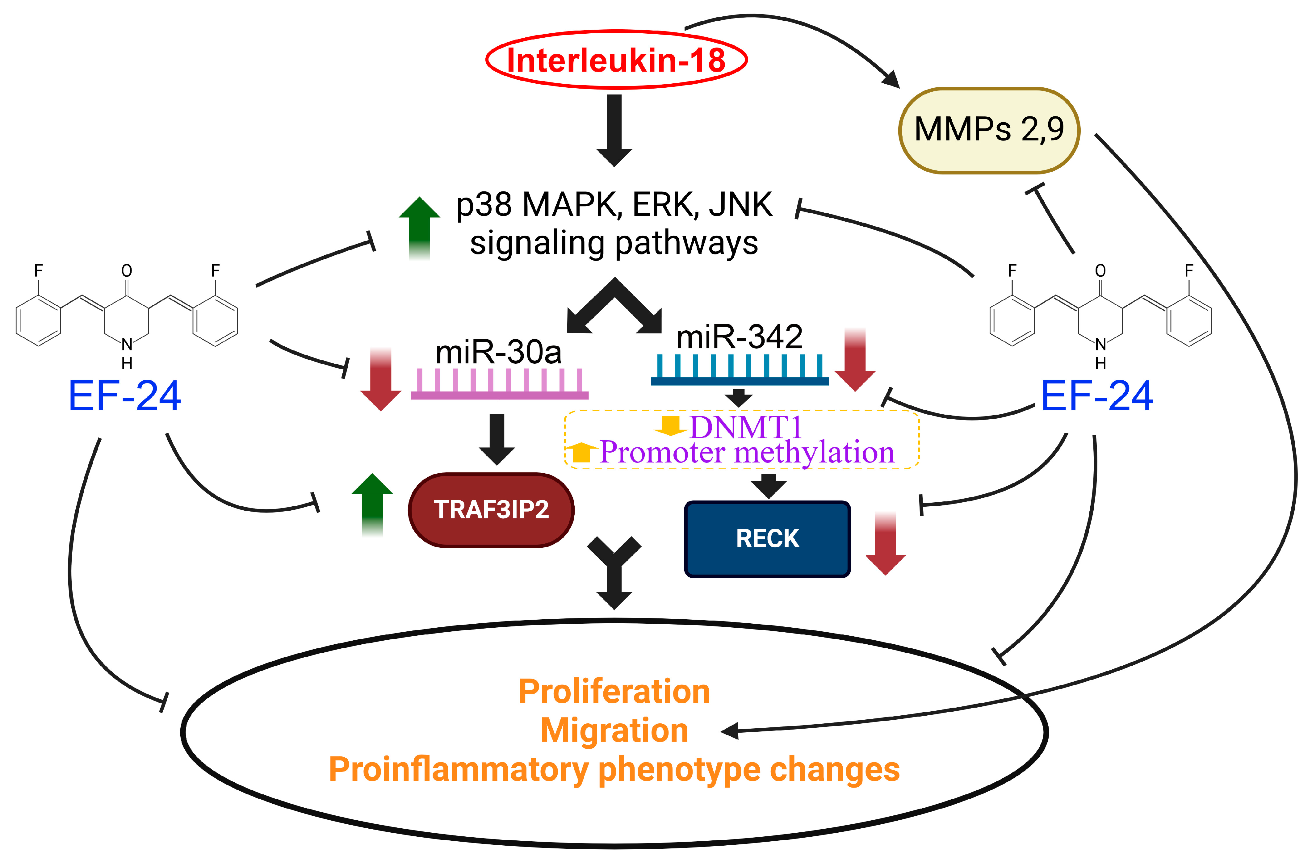 Cells 13 01673 g010 Cells 13 01673 g010