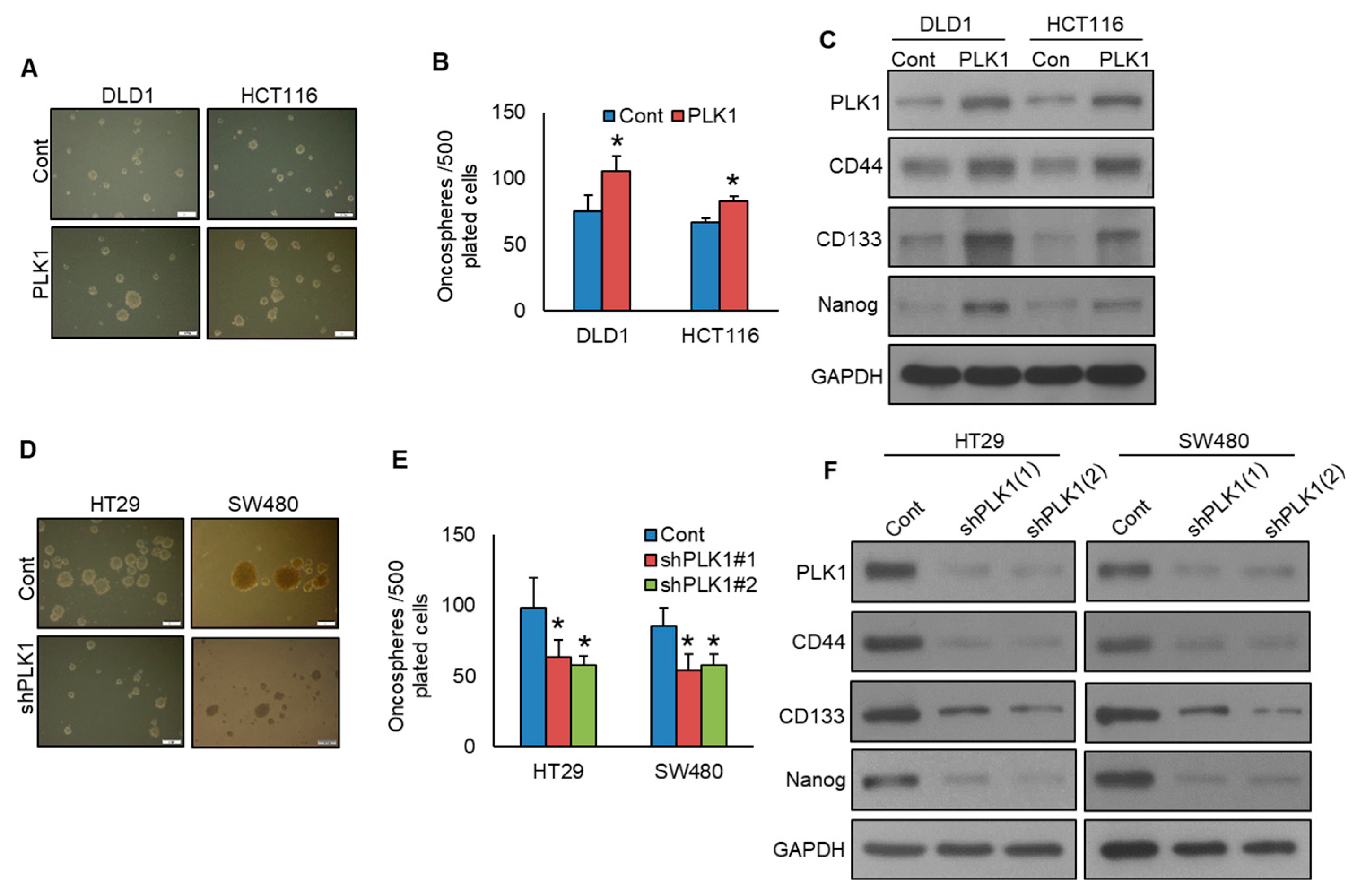 Cells 13 01700 g006