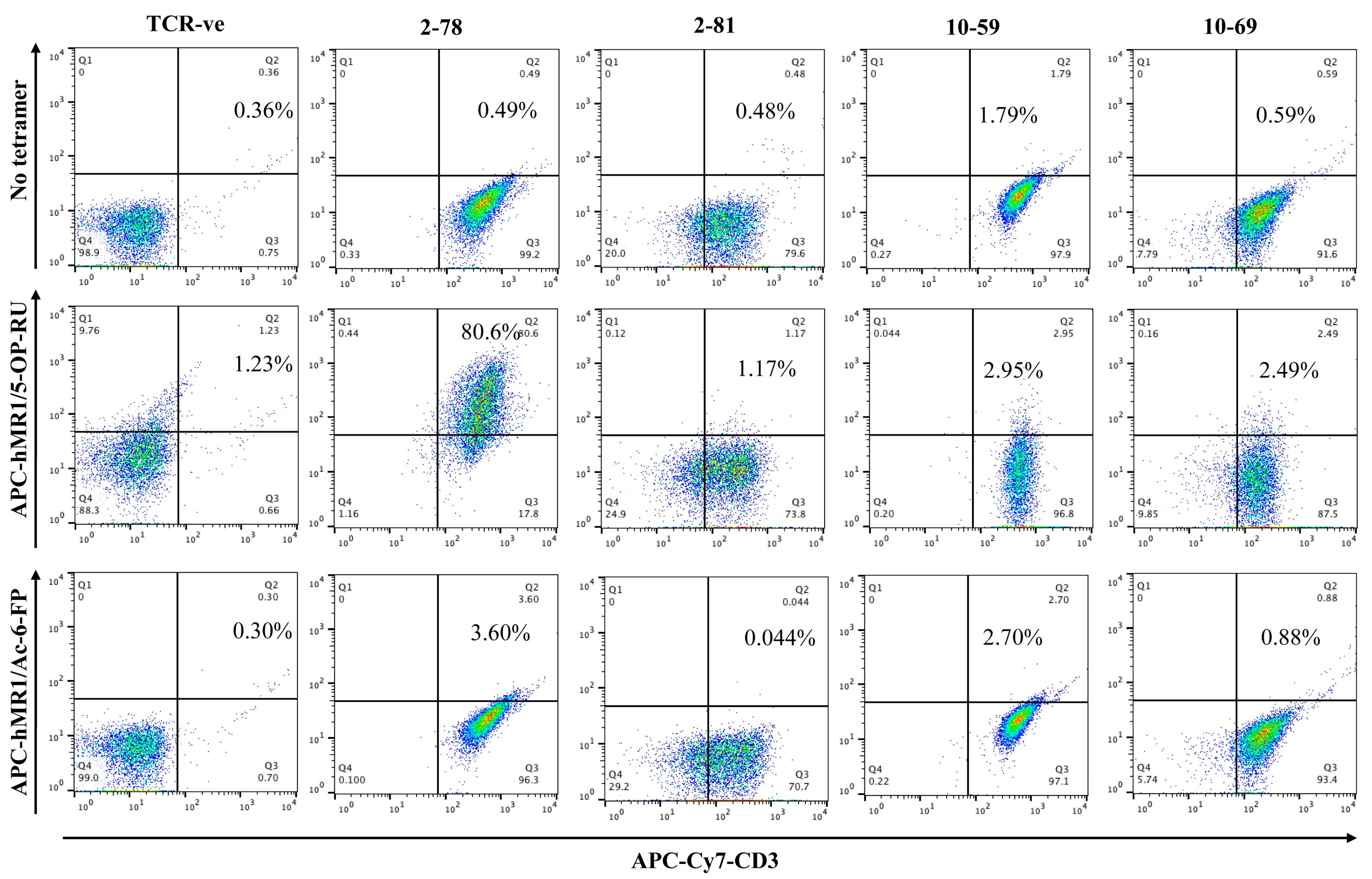 Cells 13 01711 g001 Cells 13 01711 g001
