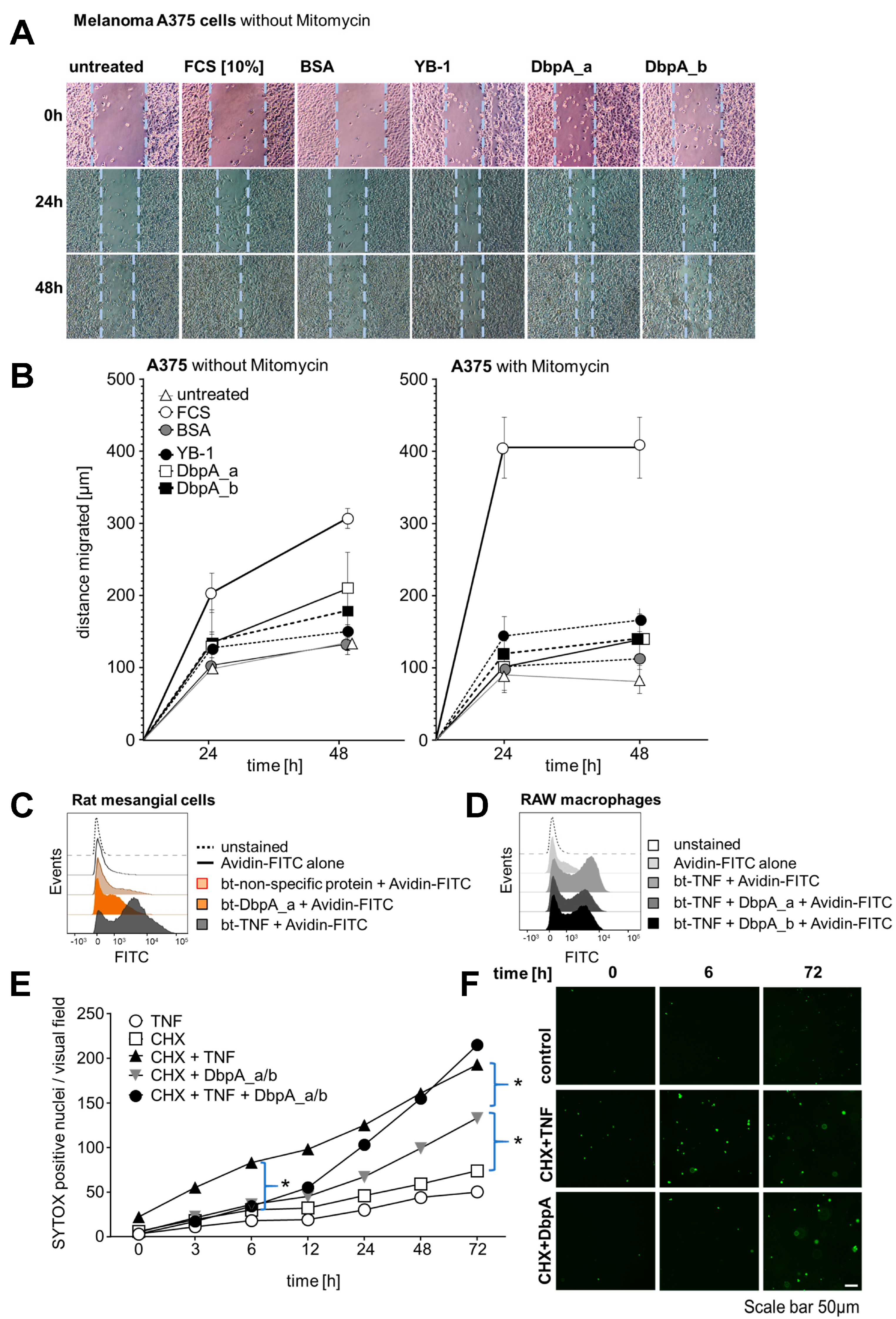 Cells 13 01742 g006a