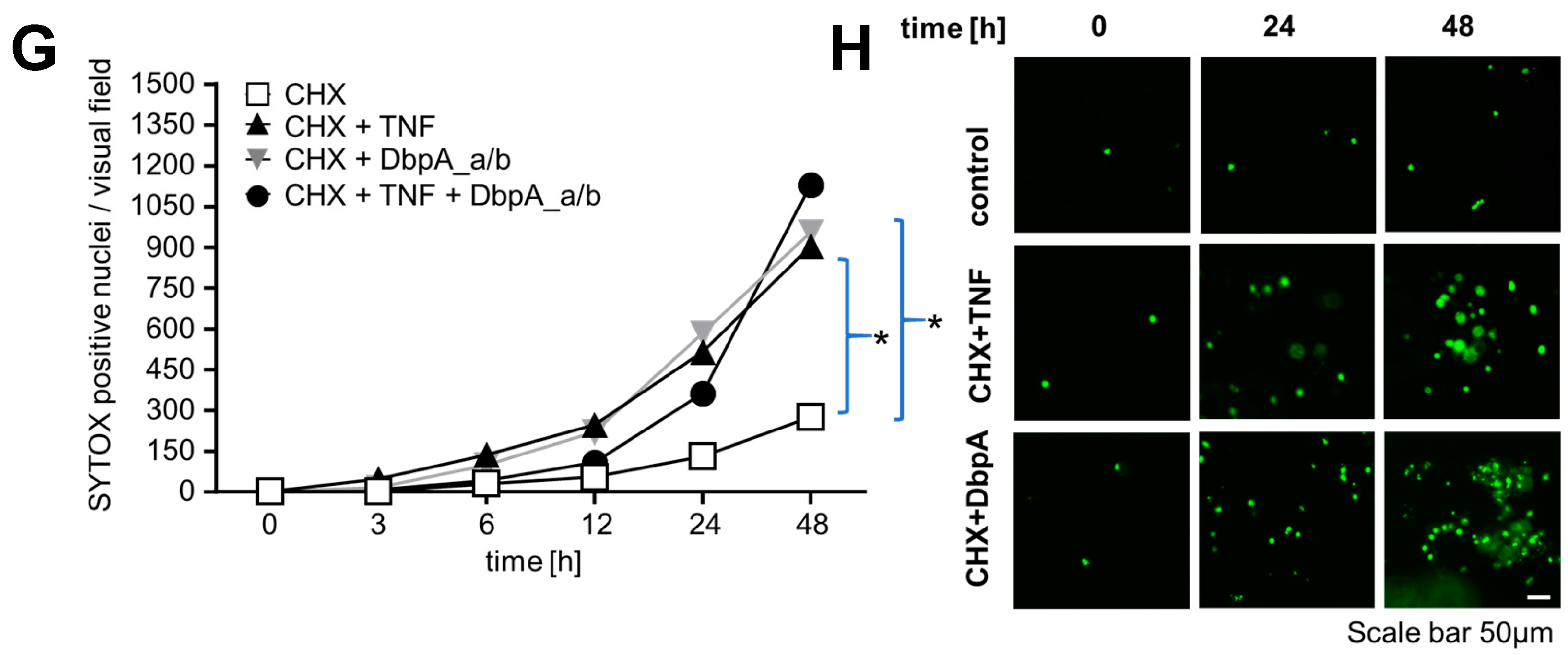 Cells 13 01742 g006b
