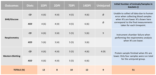 Cells 13 01746 i001 Cells 13 01746 i001