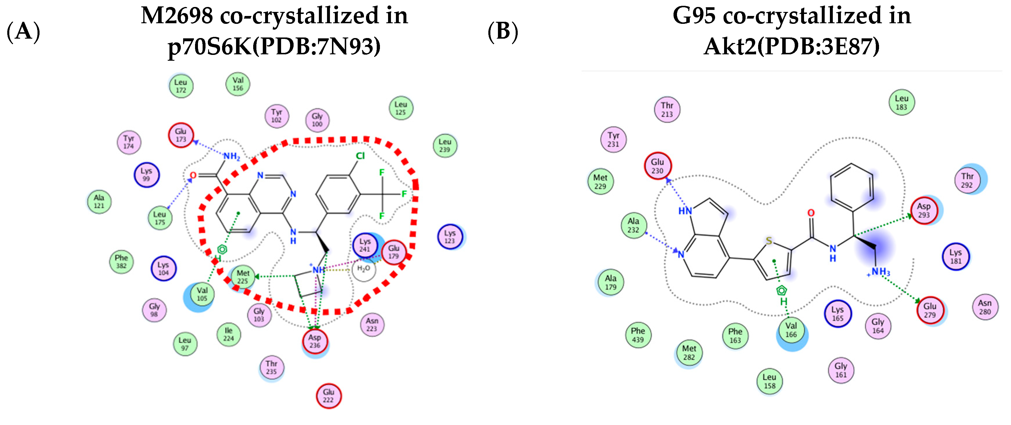 Cells 13 01760 g005a