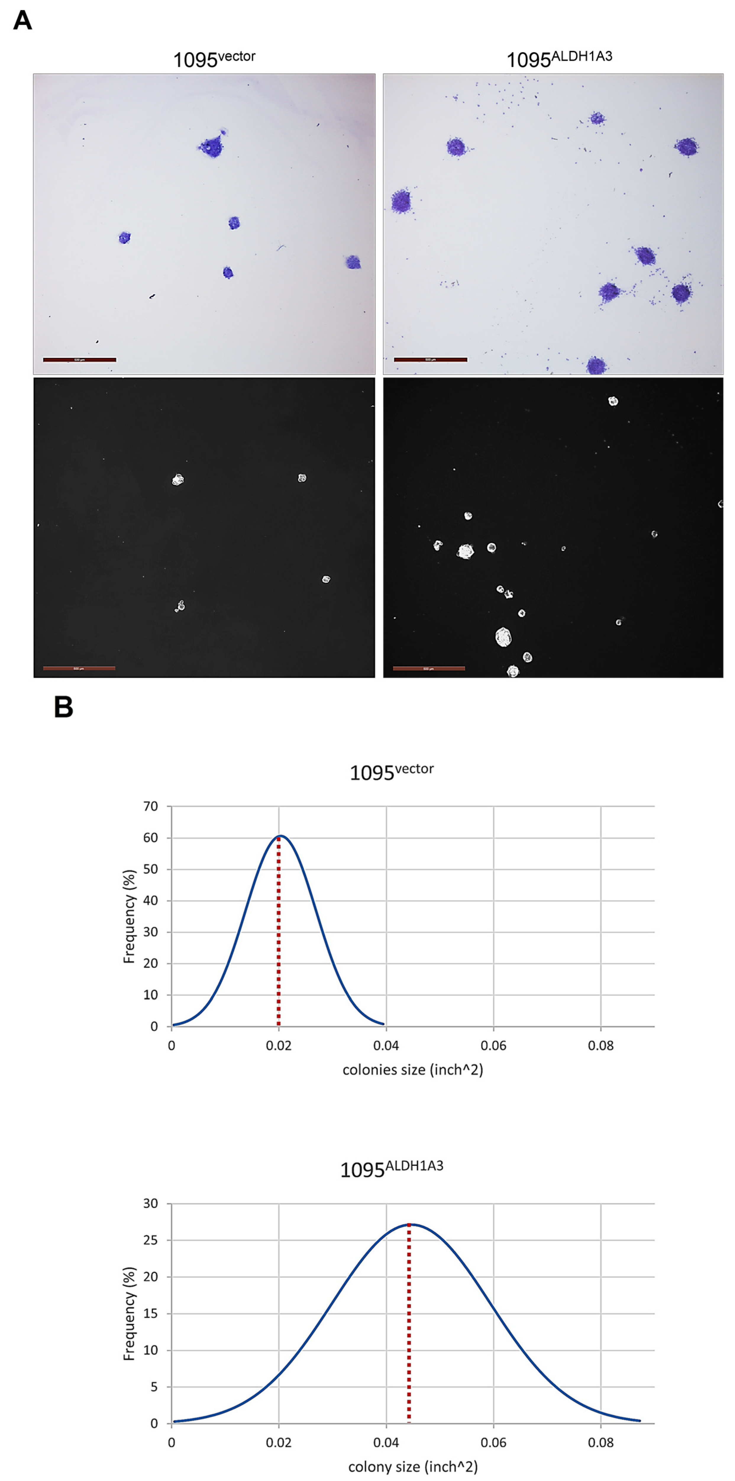Cells 13 01802 g010a