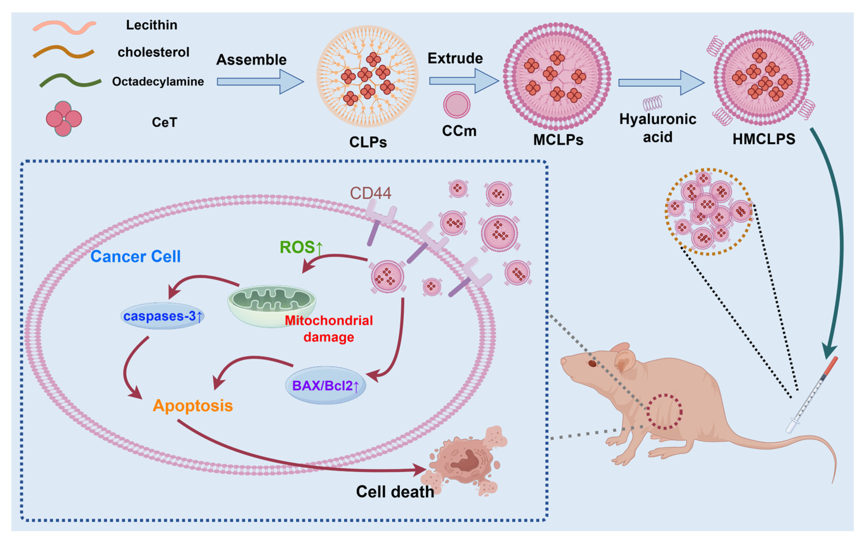 Cells 13 01819 sch001