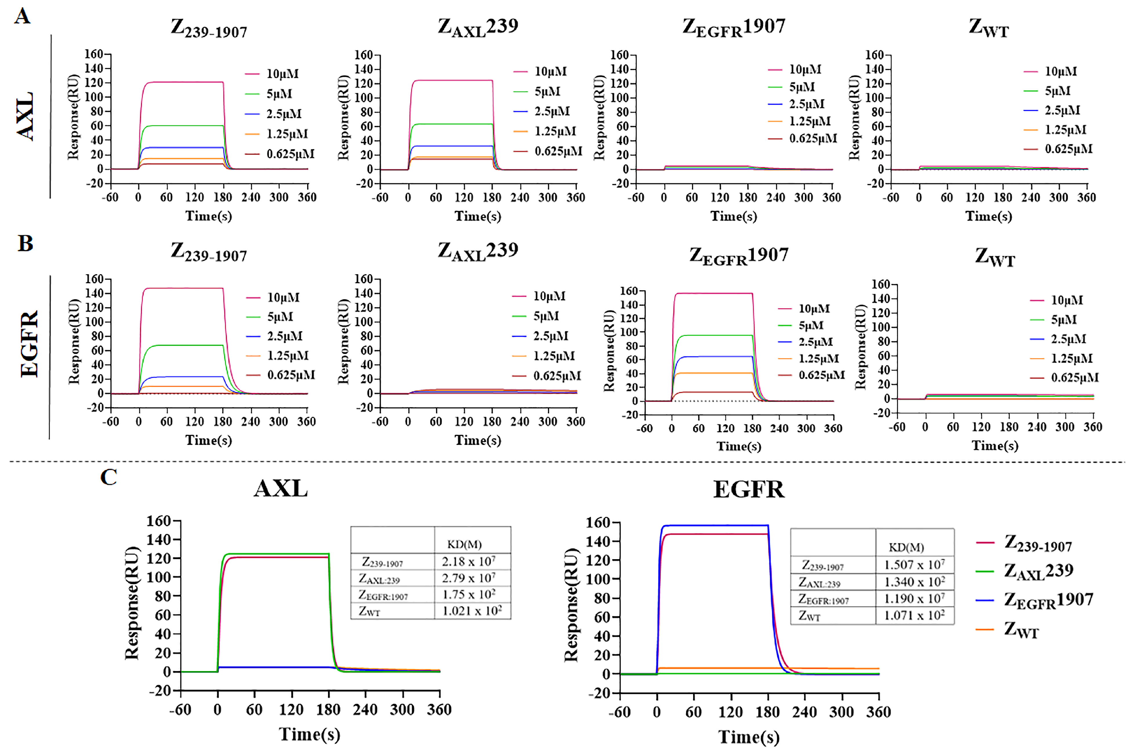 Cells 13 01823 g002 Cells 13 01823 g002
