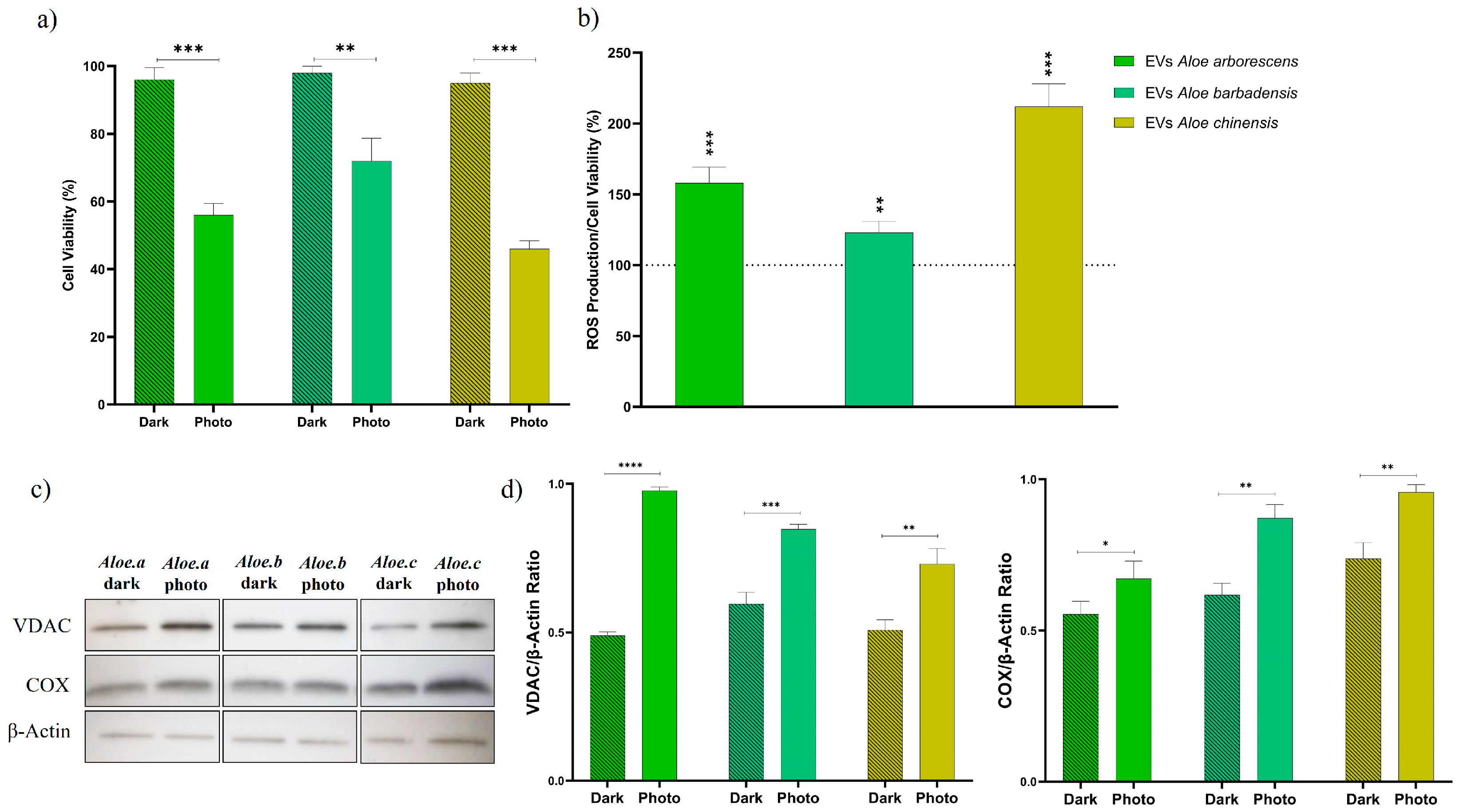 Cells 13 01845 g004 Cells 13 01845 g004