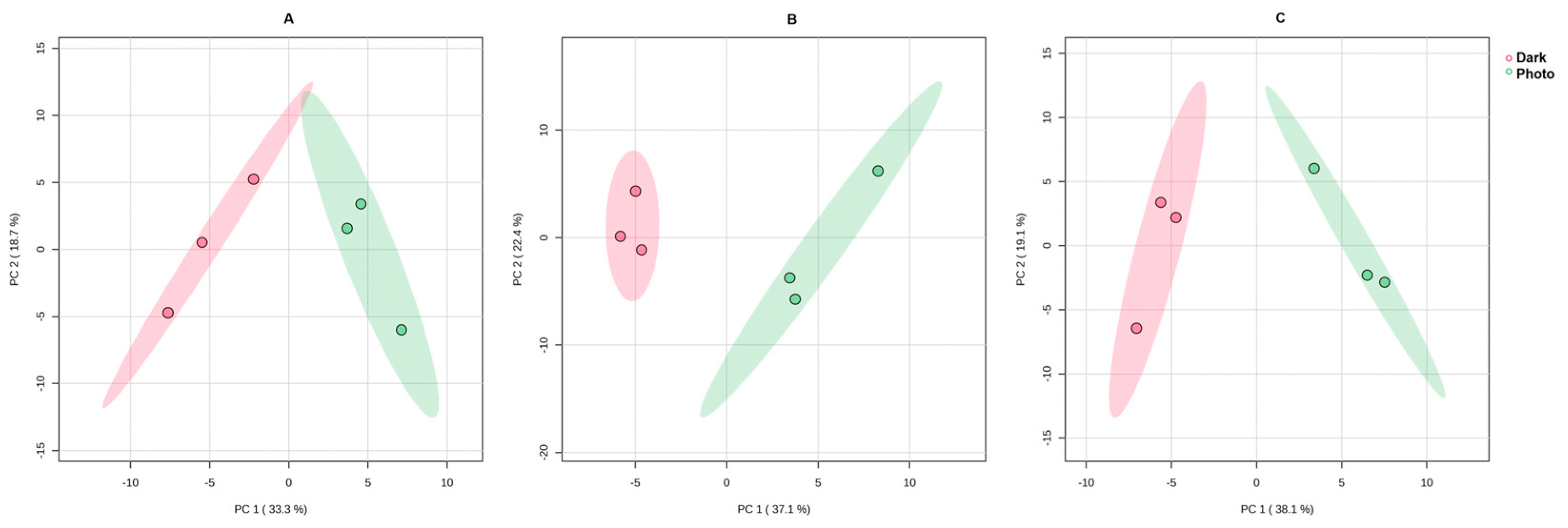 Cells 13 01845 g005 Cells 13 01845 g005