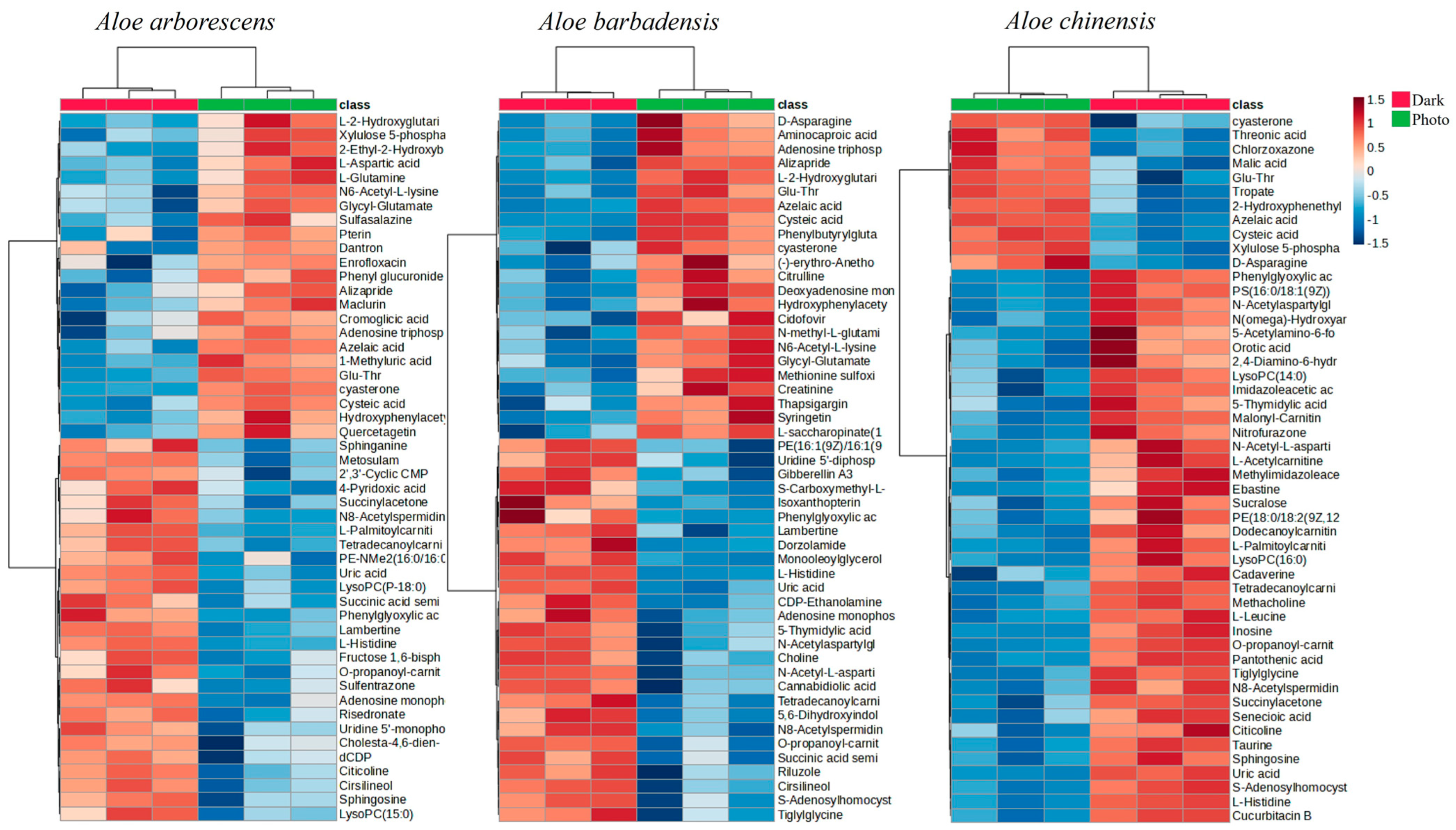 Cells 13 01845 g006 Cells 13 01845 g006