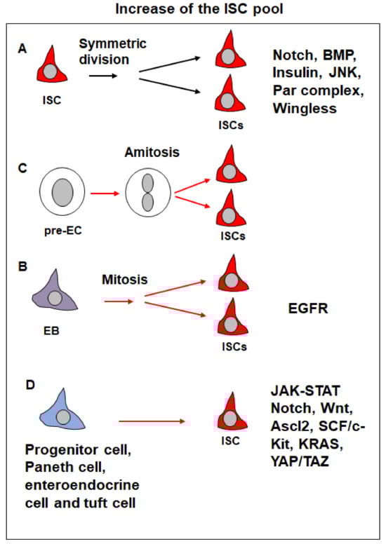 Cells 13 01856 g004 Cells 13 01856 g004