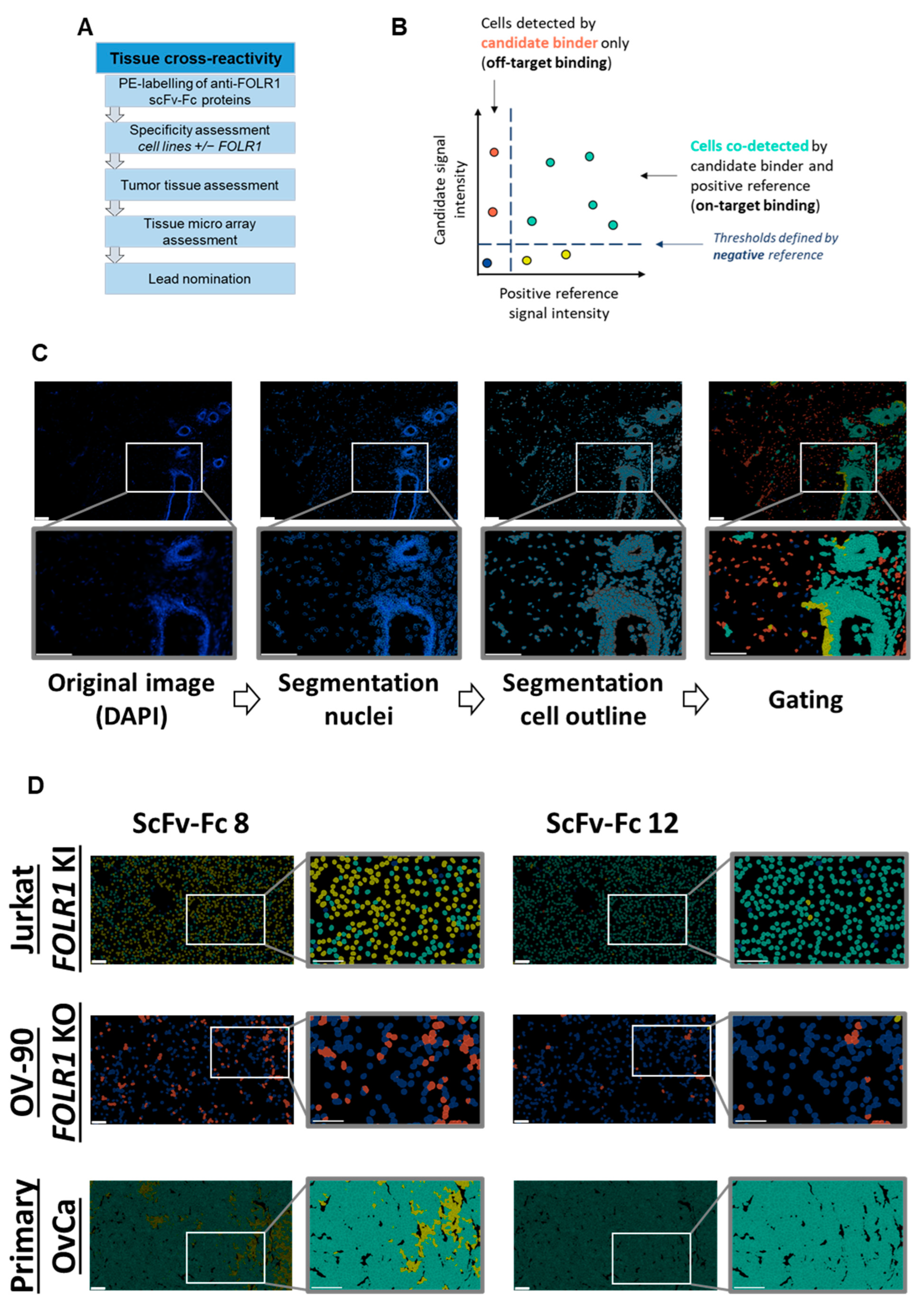 Cells 13 01880 g006a