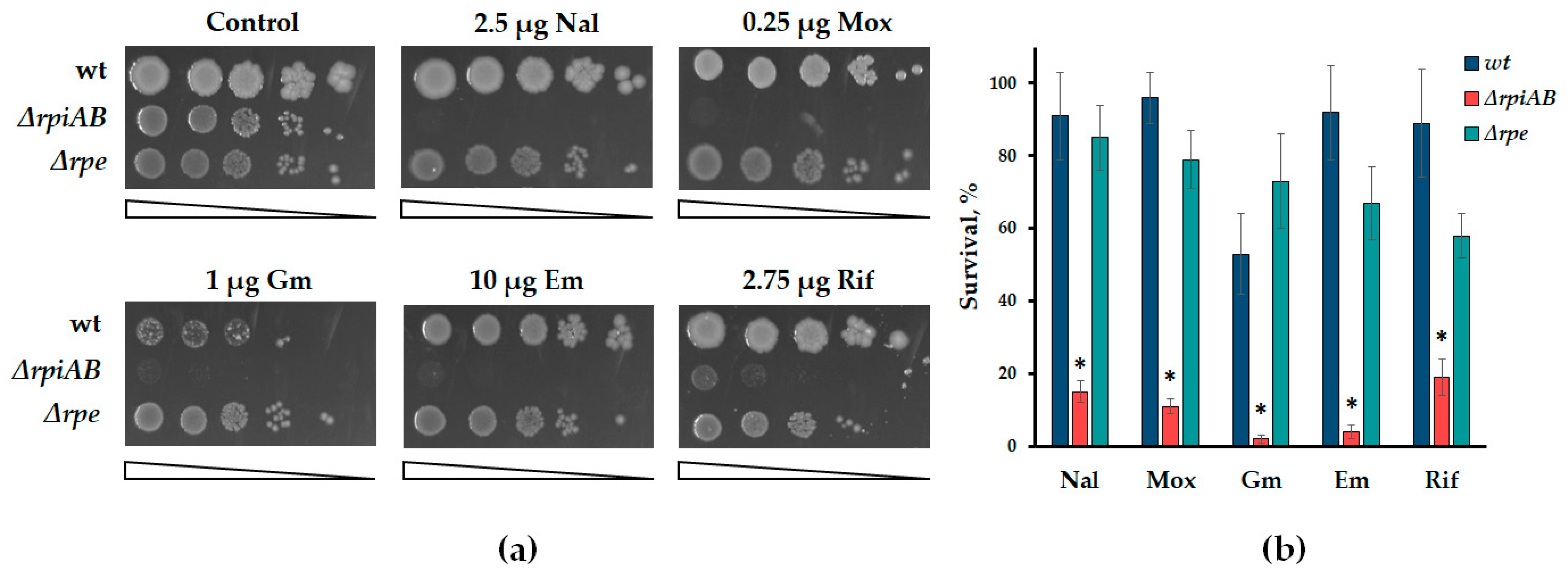 Cells 13 01915 g002