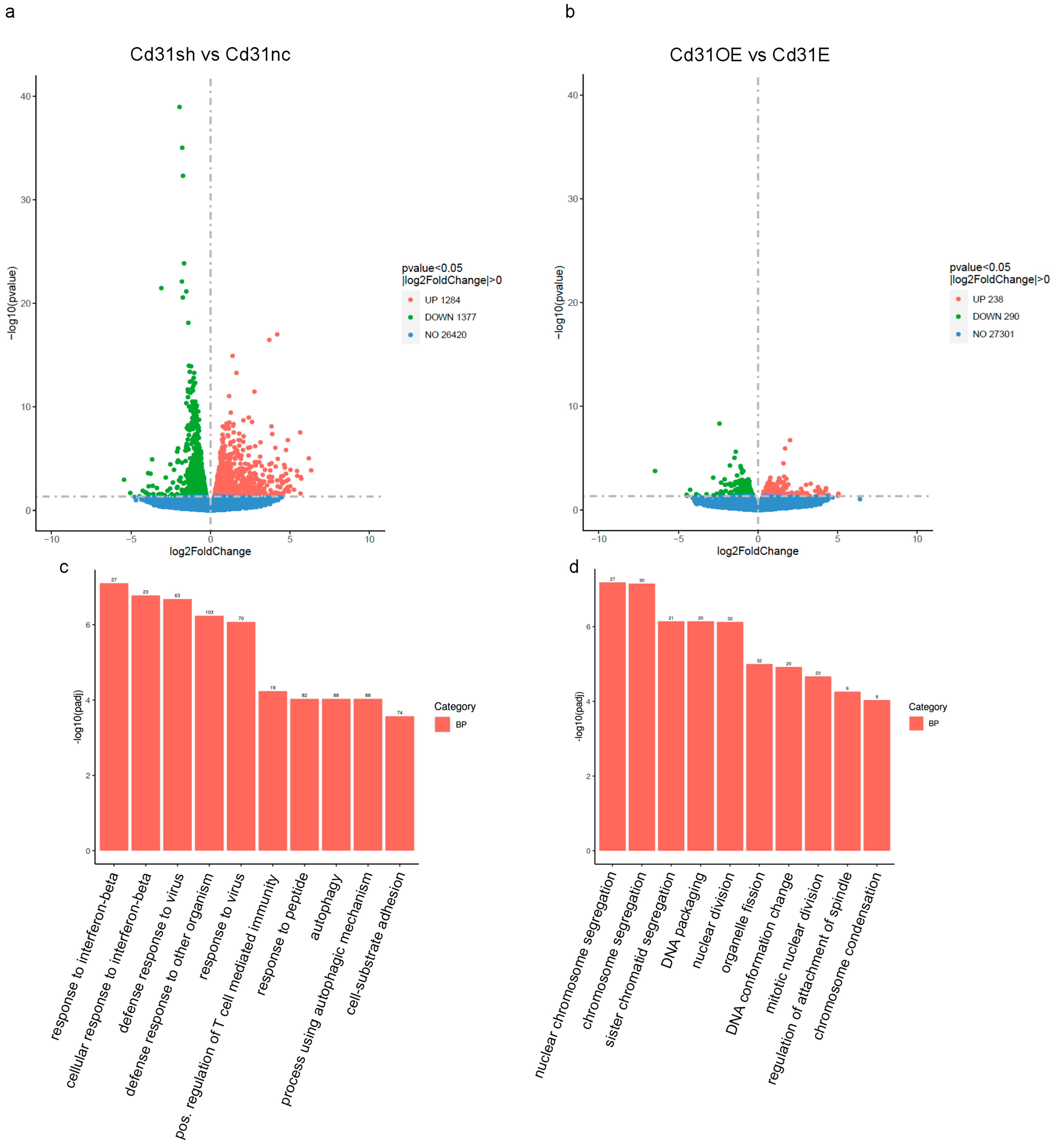 Cells 13 01929 g007a