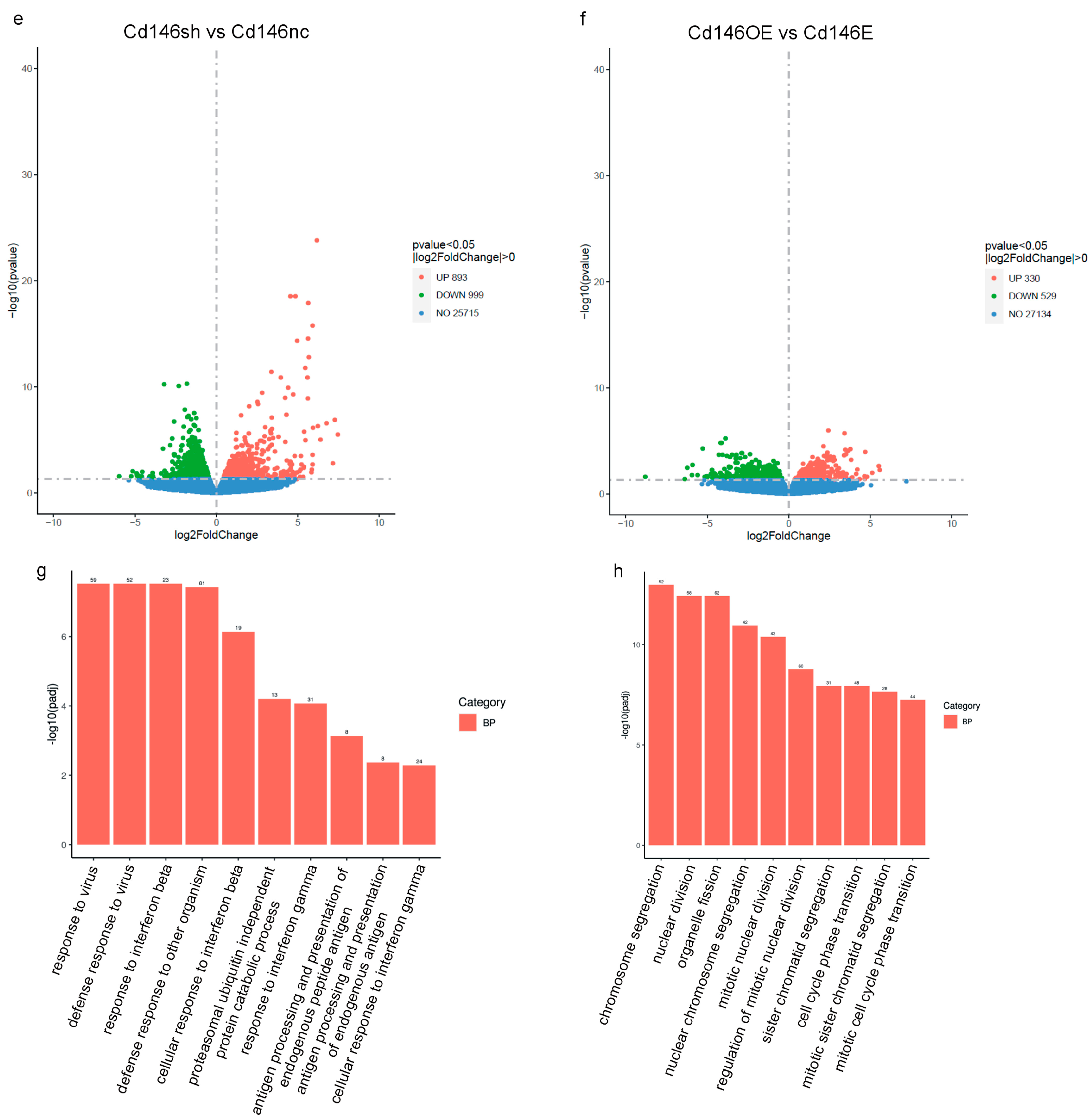 Cells 13 01929 g007b