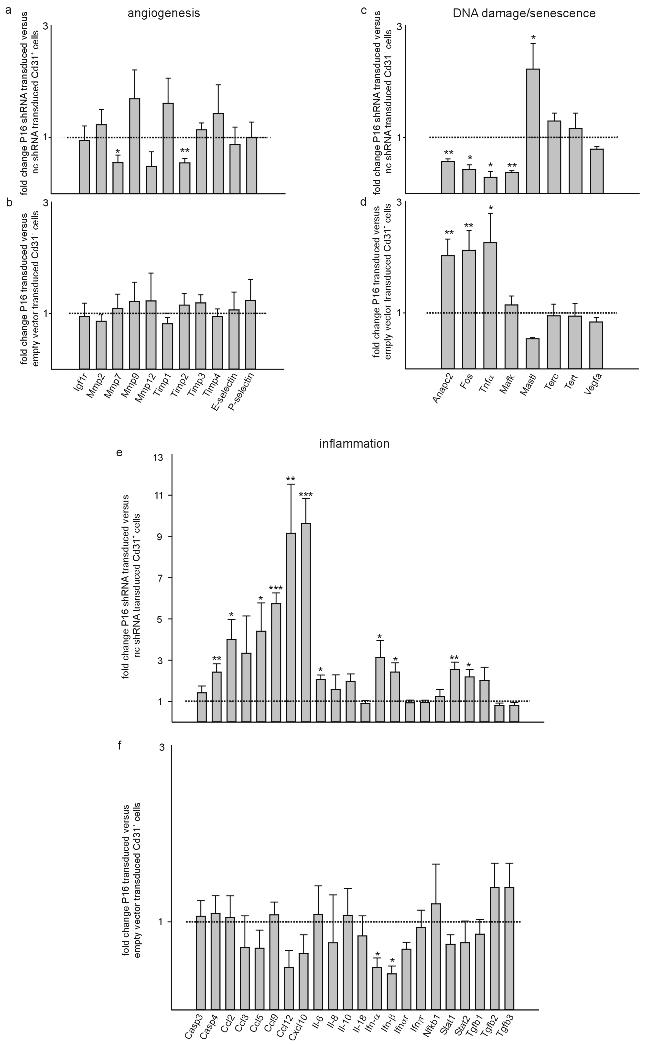 Cells 13 01929 g008a
