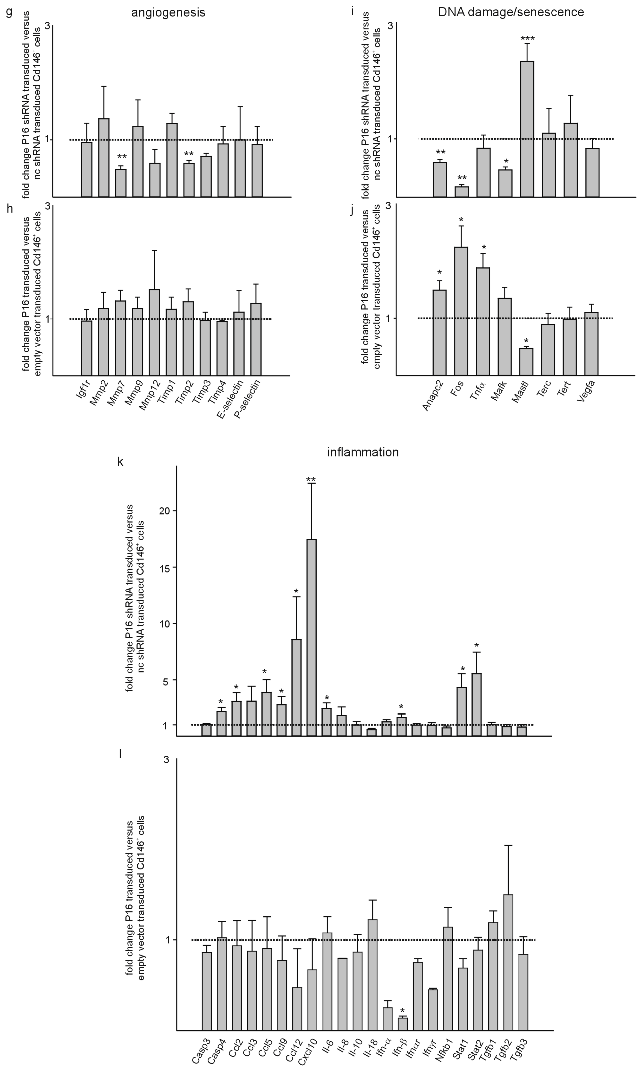 Cells 13 01929 g008b