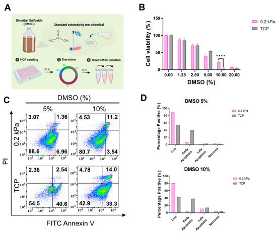 Influence of Soft and Stiff Matrices on Cytotoxicity in Gingival ...