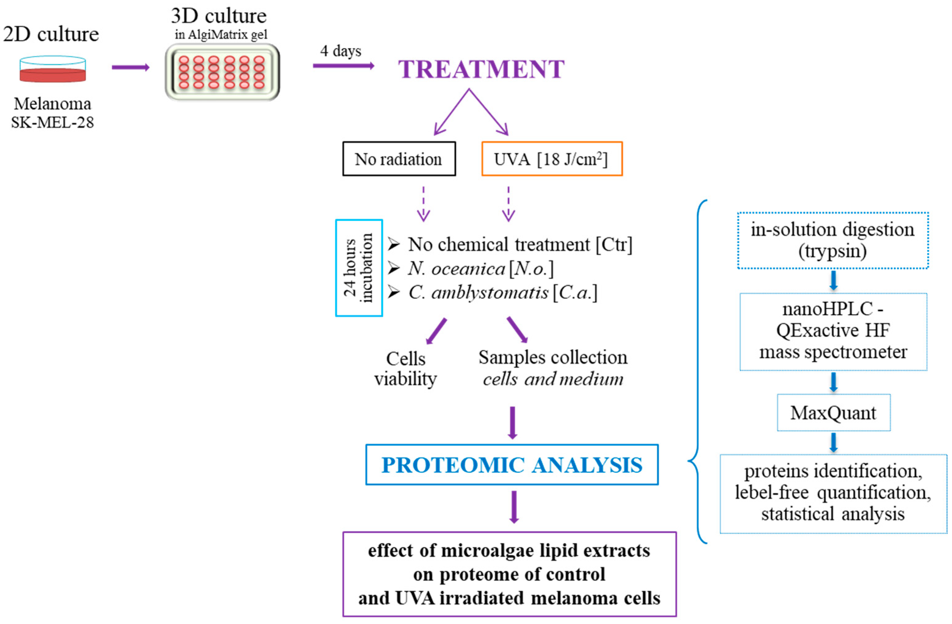 Cells 13 01934 g001 Cells 13 01934 g001