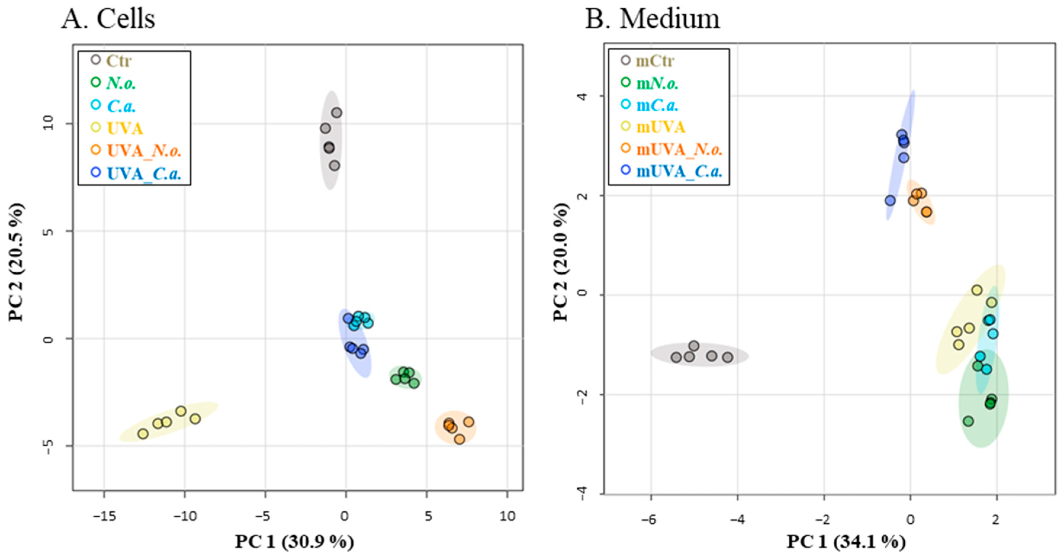 Cells 13 01934 g003 Cells 13 01934 g003
