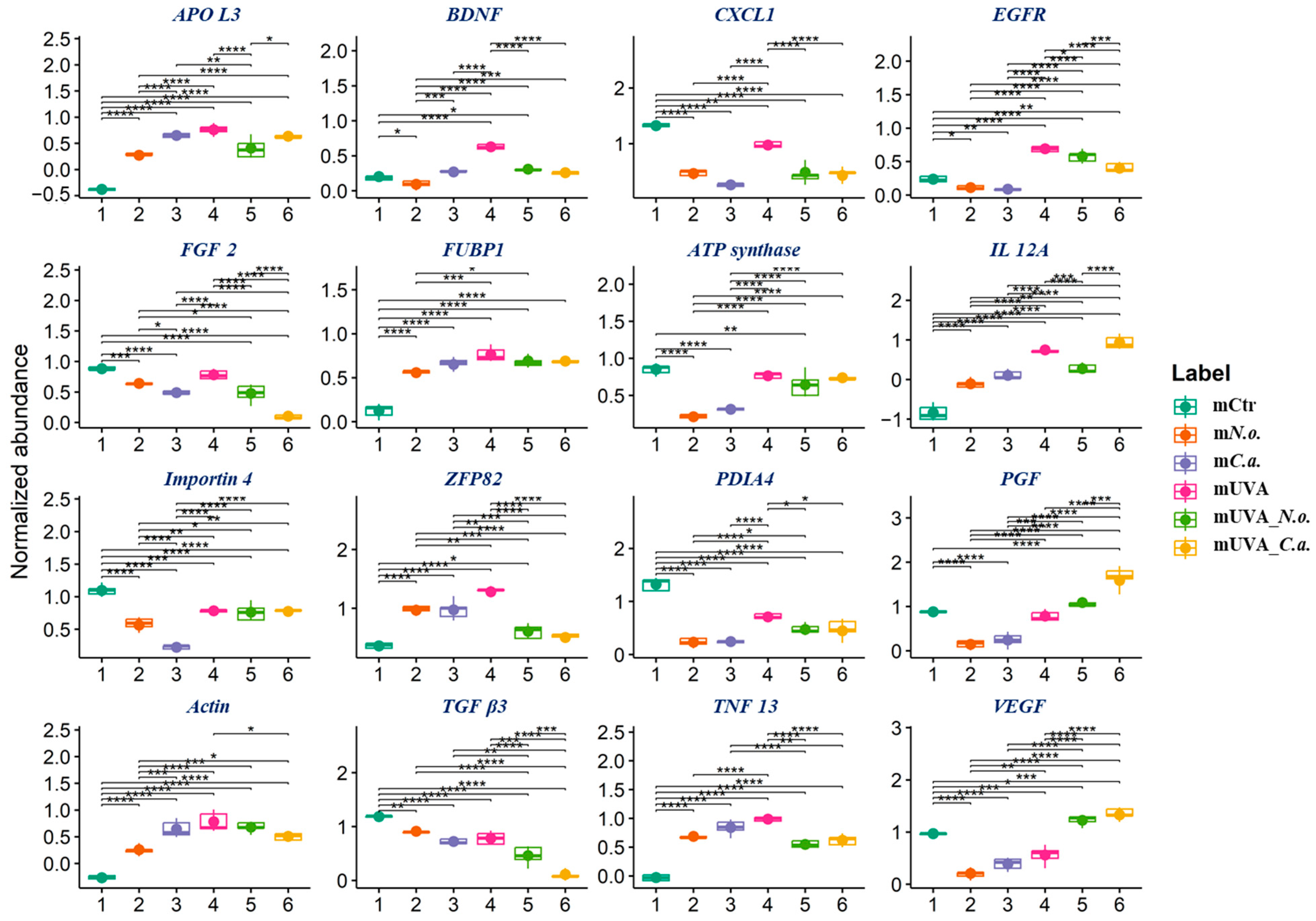 Cells 13 01934 g006 Cells 13 01934 g006