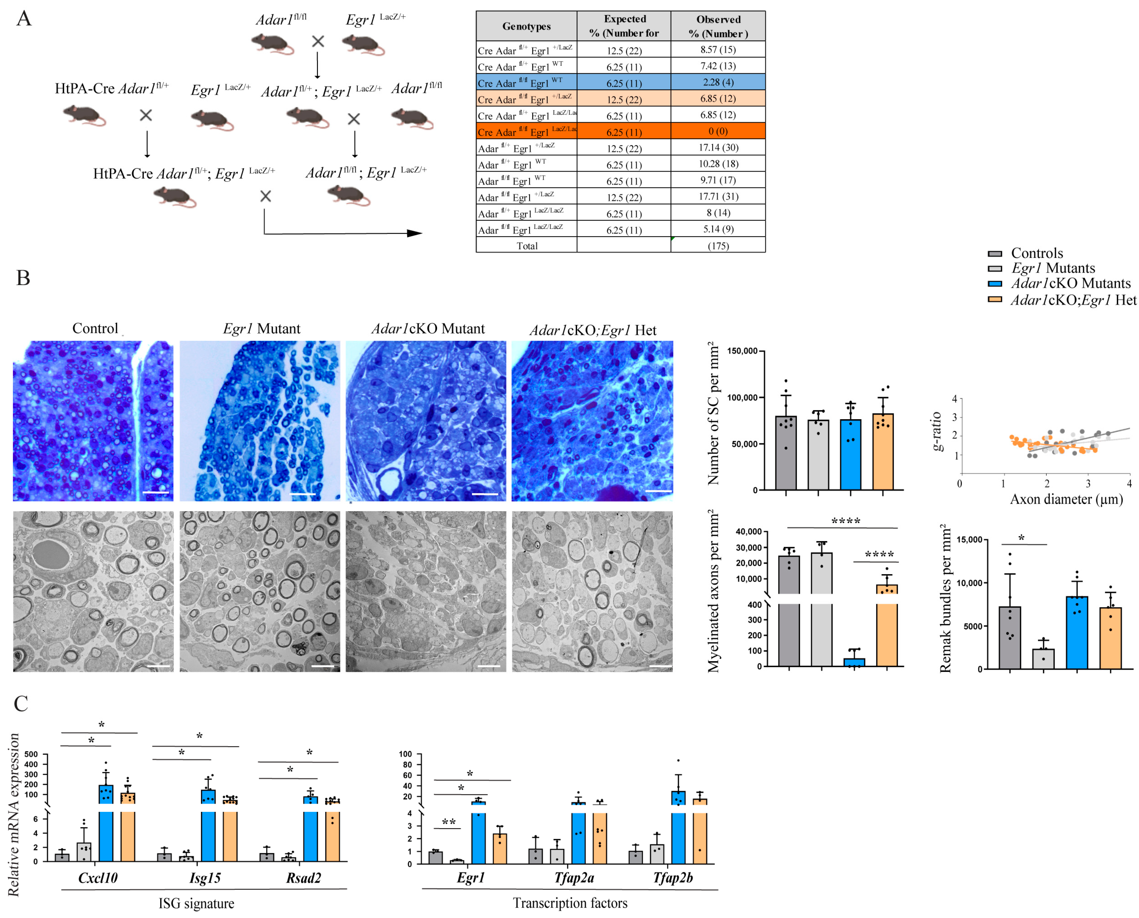 Cells 13 01952 g005