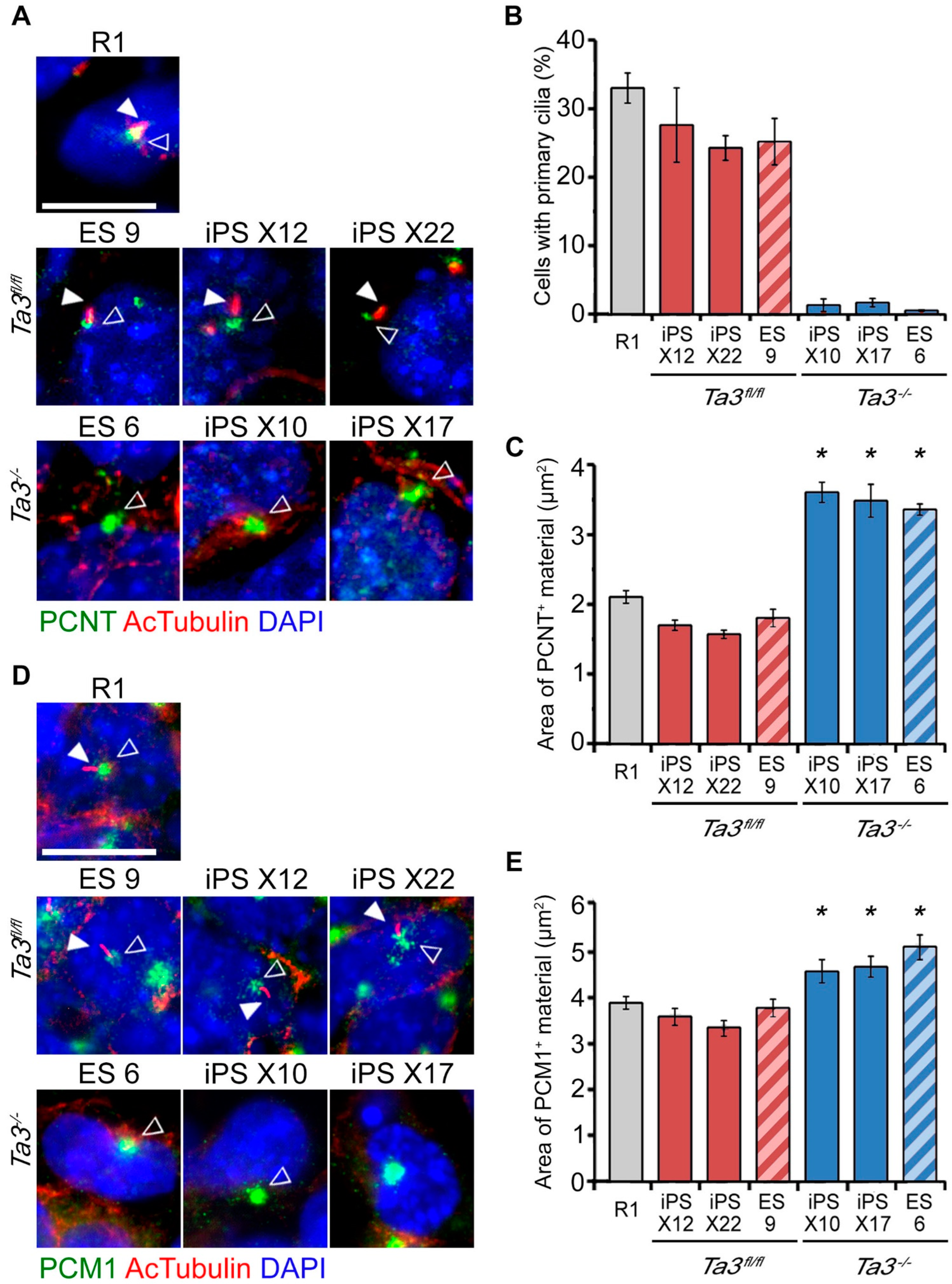 Cells 13 01957 g003 Cells 13 01957 g003