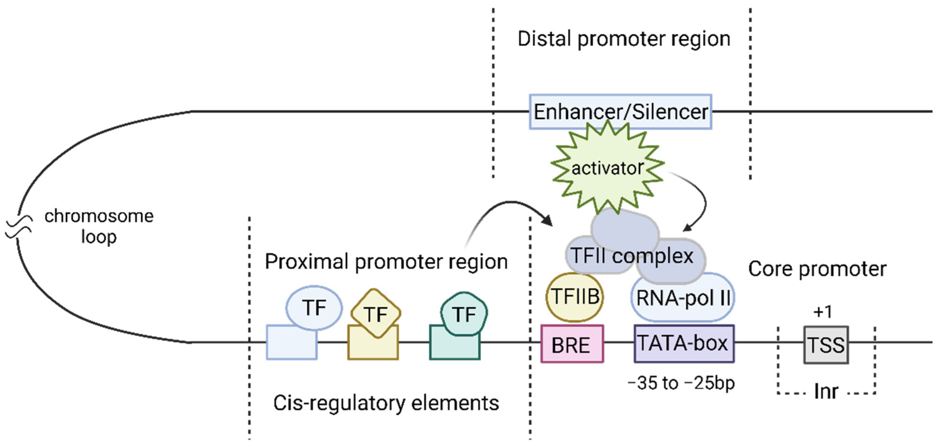 Cells 13 01963 g001 Cells 13 01963 g001