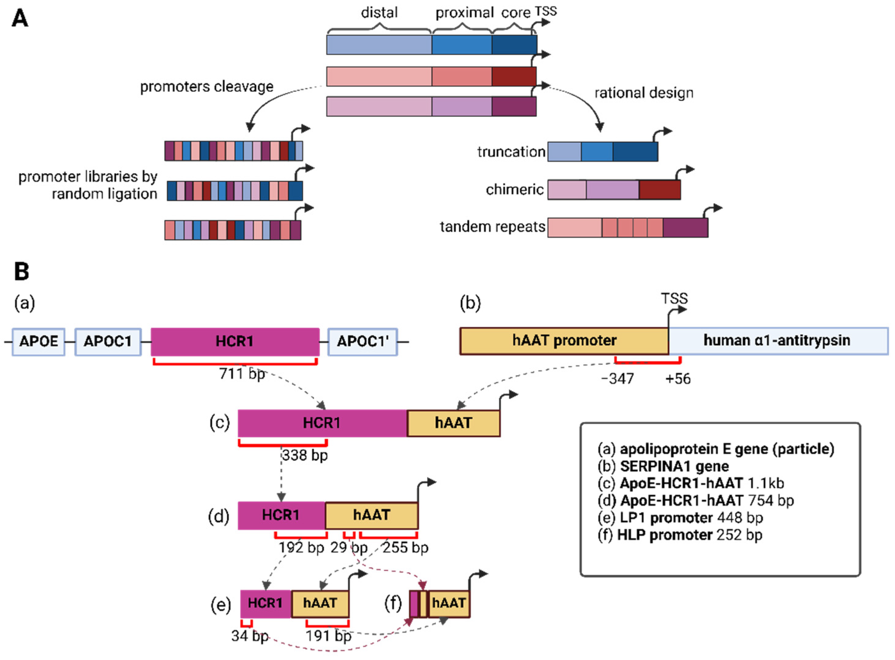 Cells 13 01963 g002 Cells 13 01963 g002