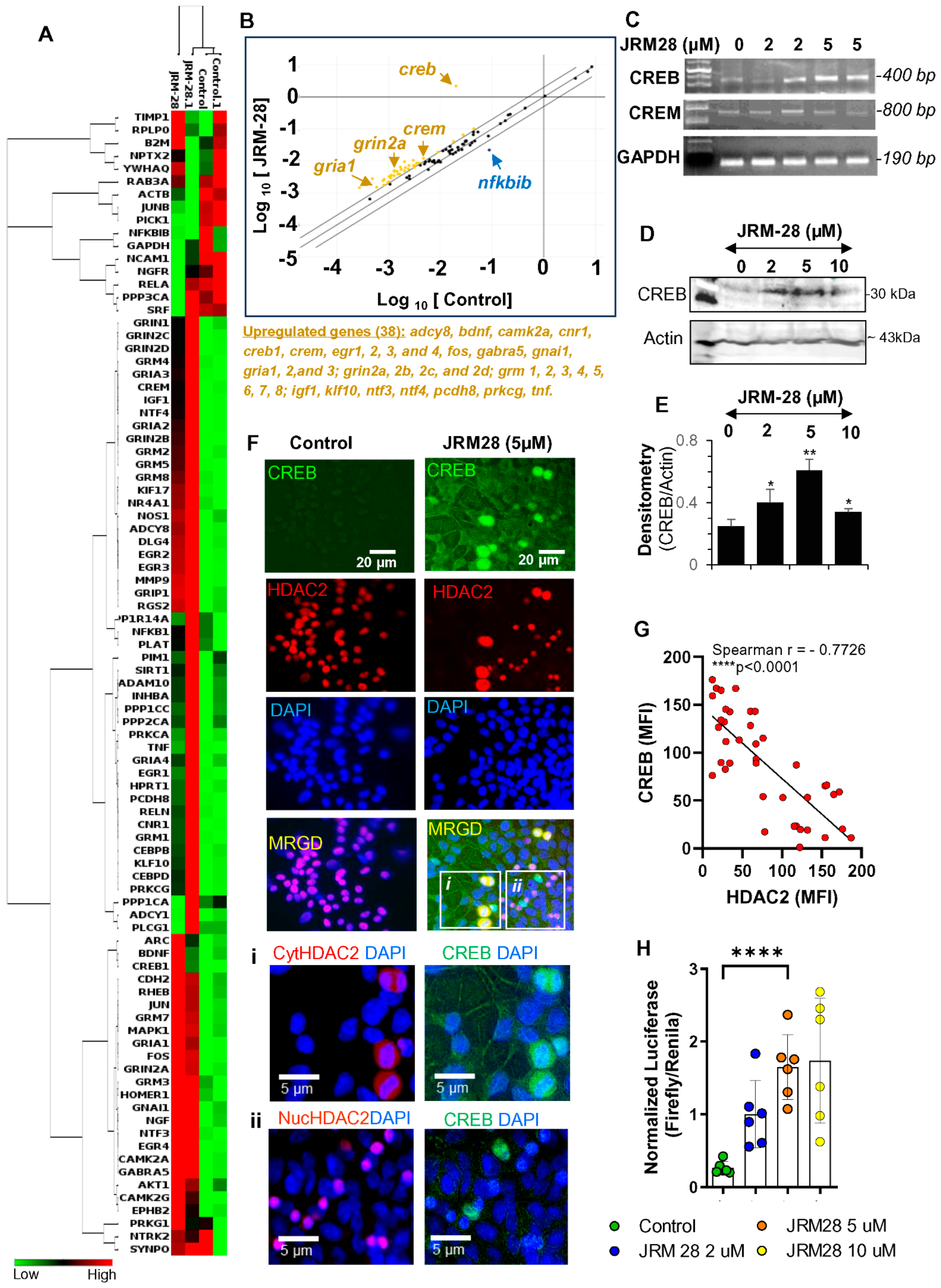 Cells 13 01964 g006