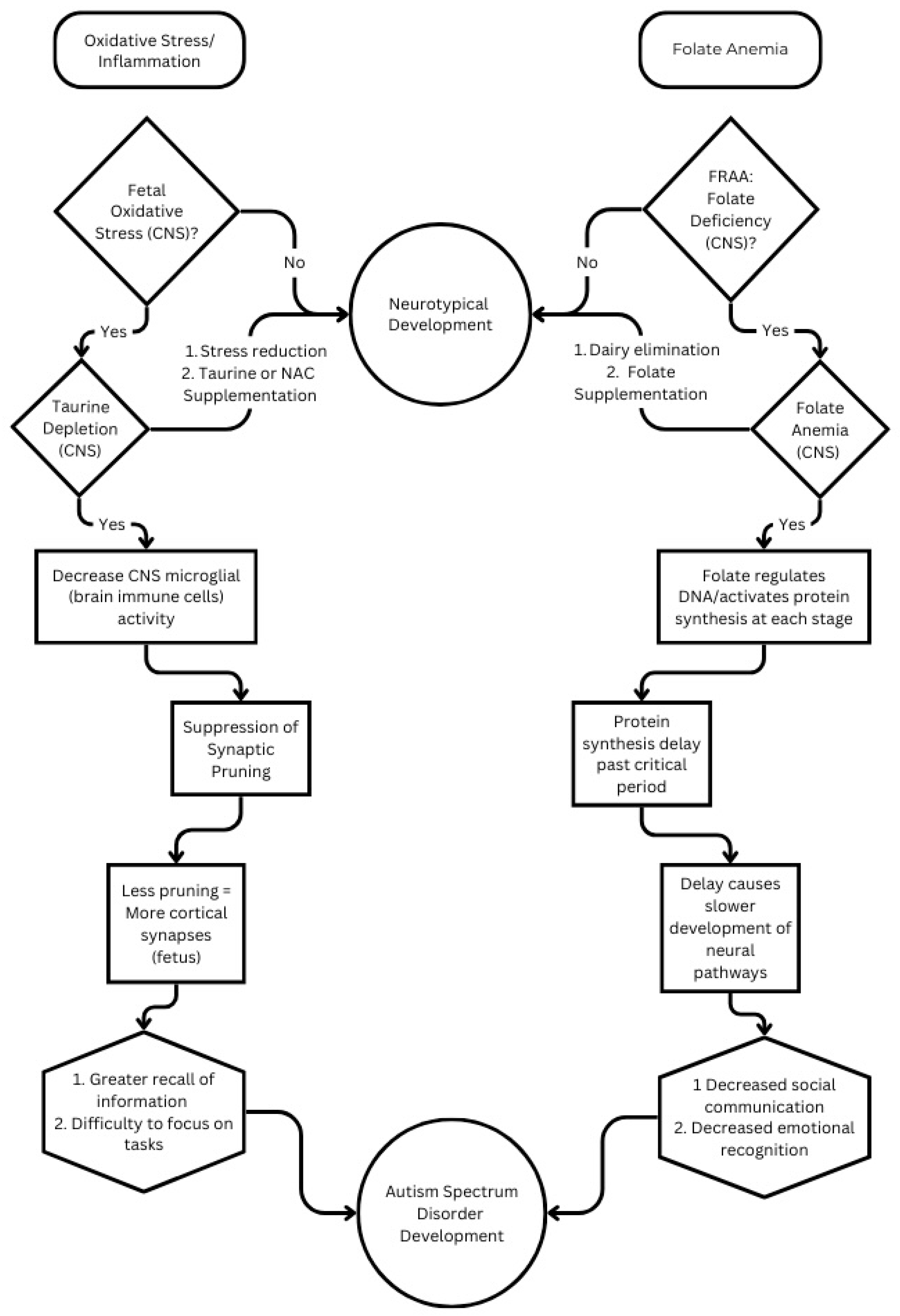 Cells 13 01968 g001 Cells 13 01968 g001
