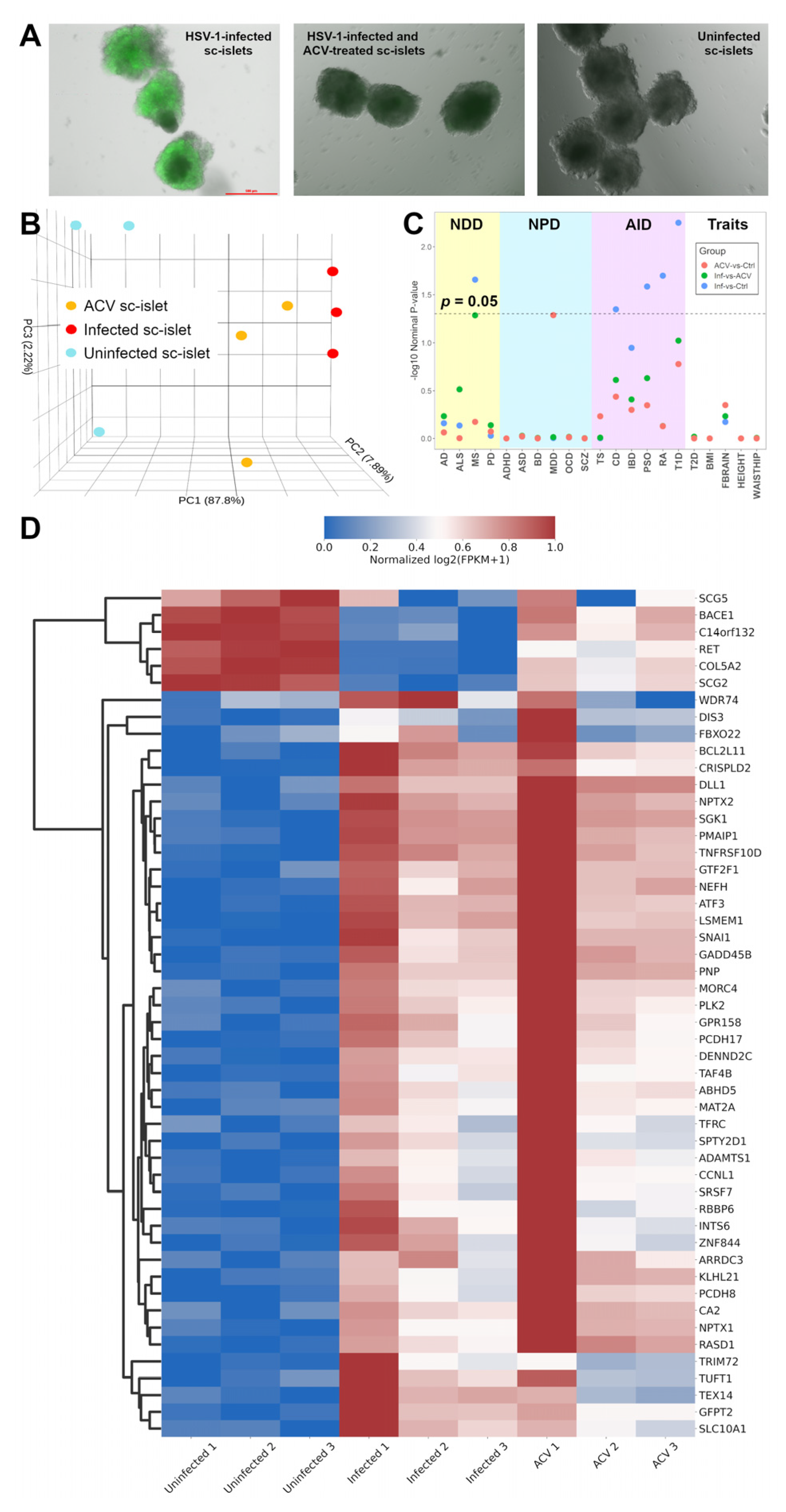 Cells 13 01978 g001a