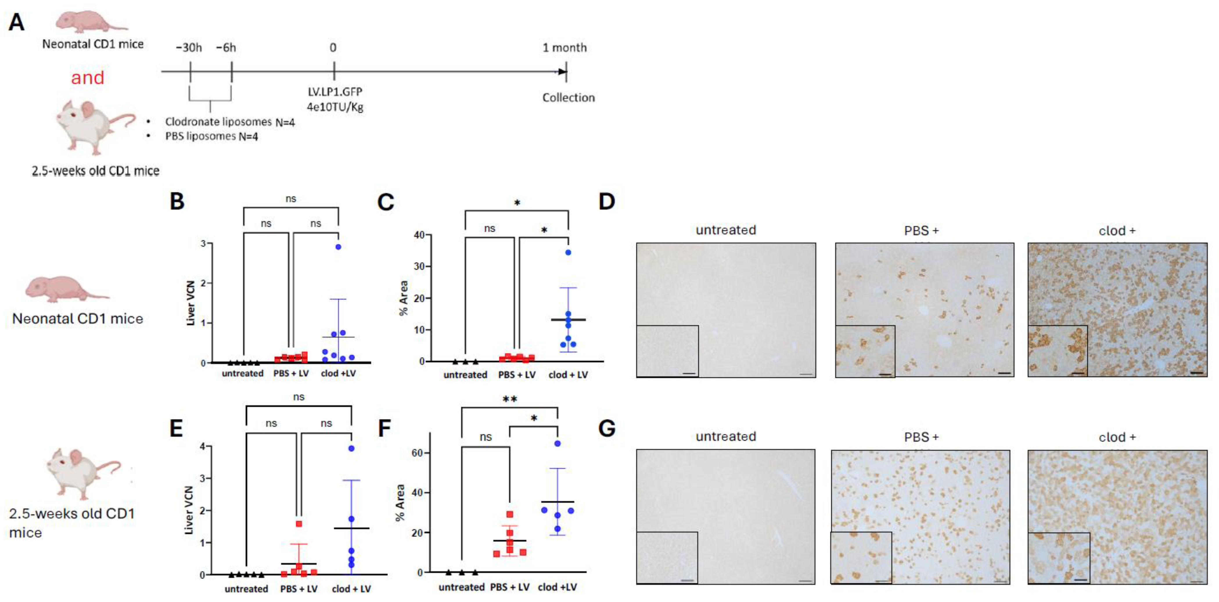 Cells 13 01979 g002 Cells 13 01979 g002