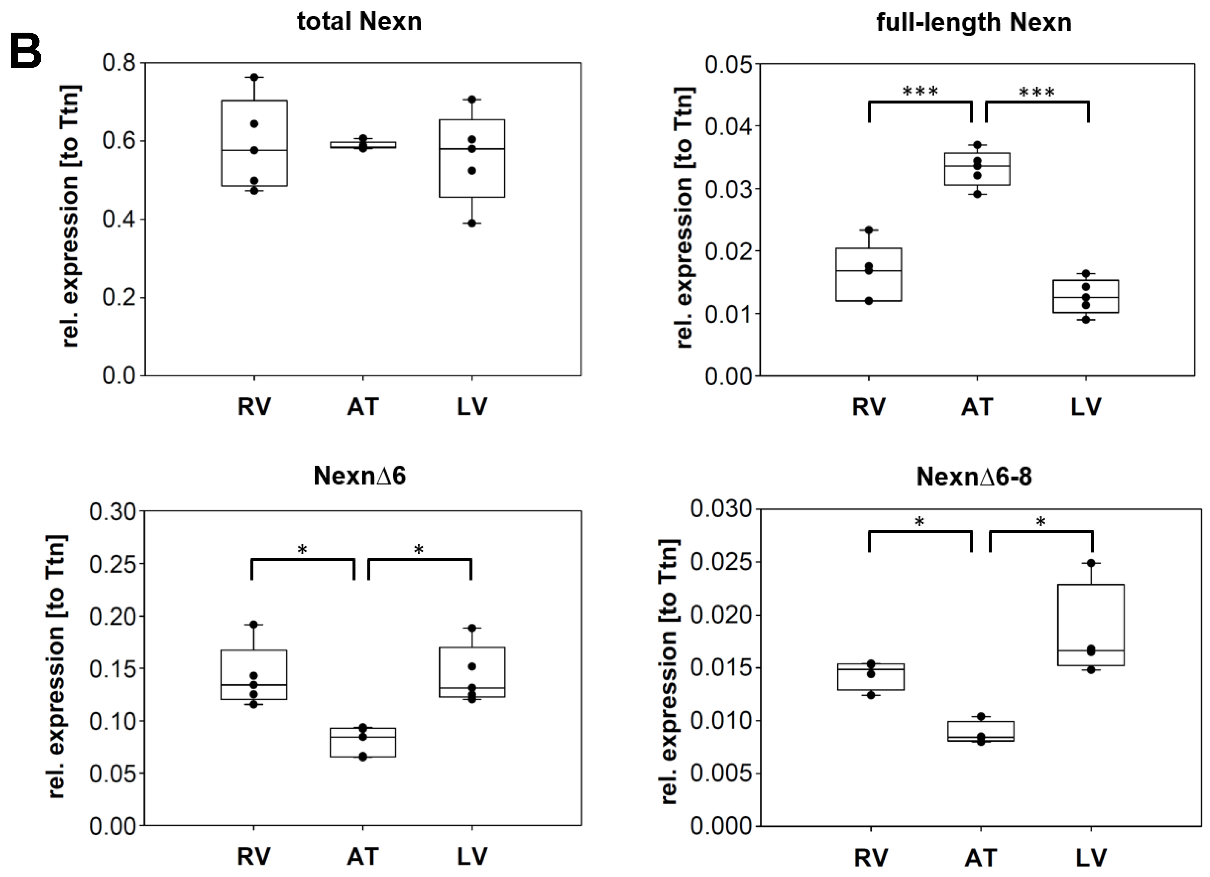 Cells 13 02018 g003b