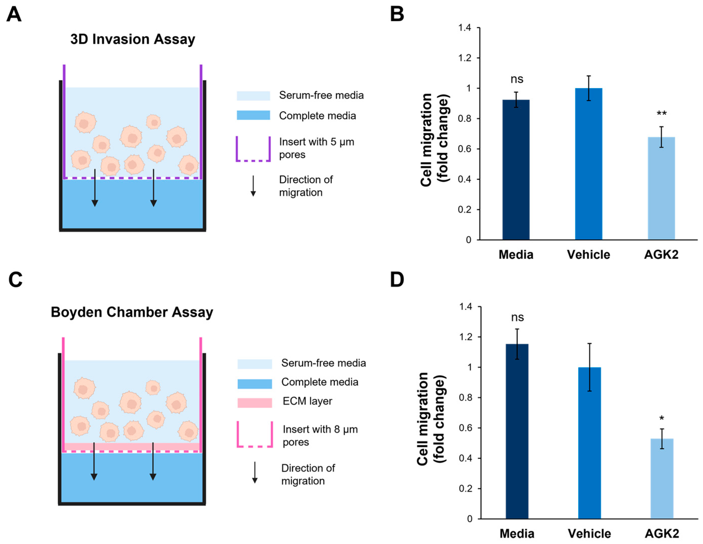 Cells 13 02023 g007 Cells 13 02023 g007