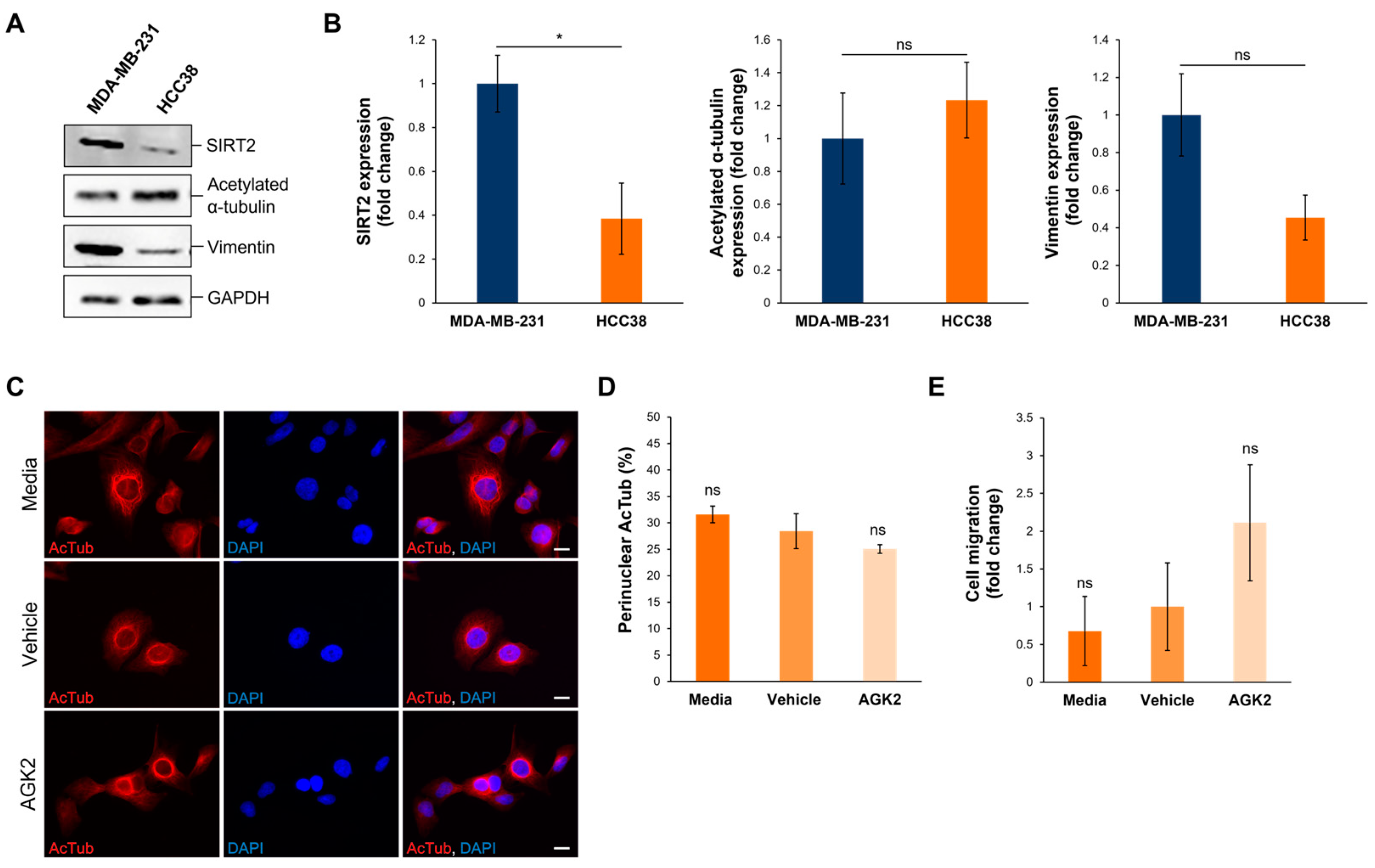 Cells 13 02023 g008 Cells 13 02023 g008