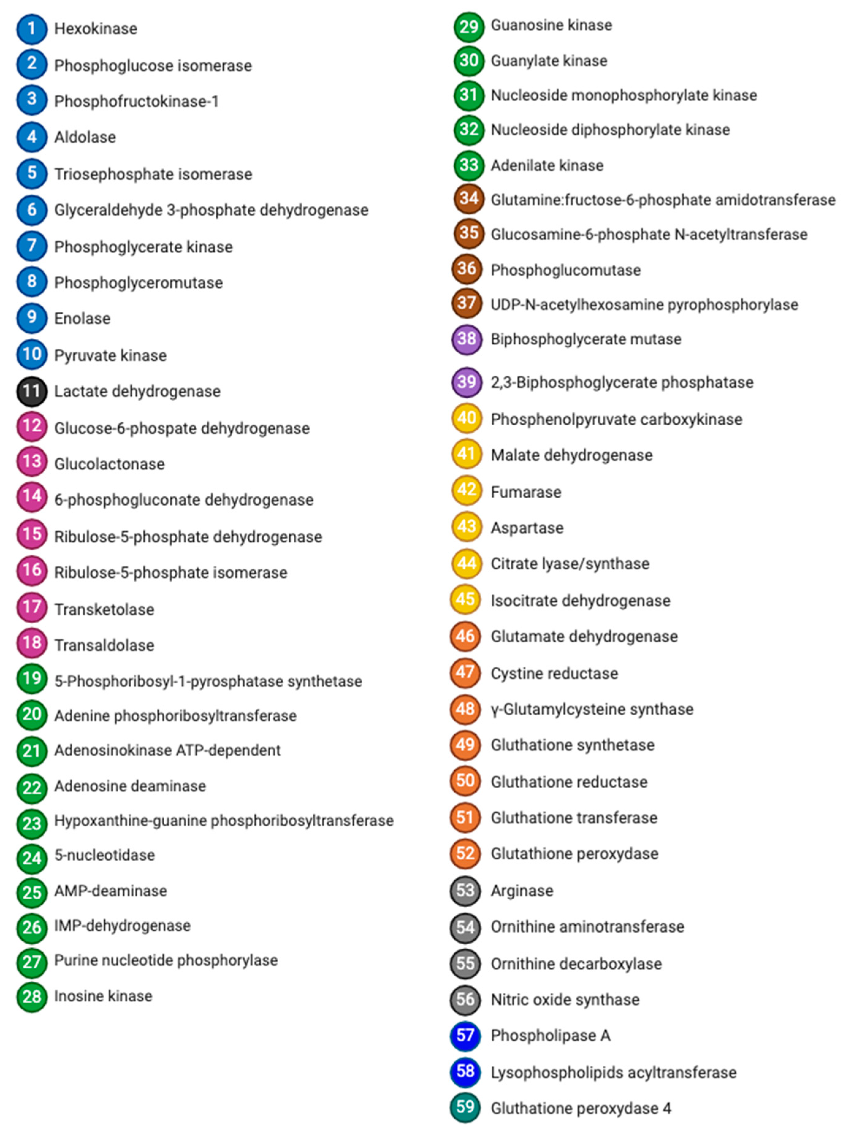 Cells 13 02026 g013b