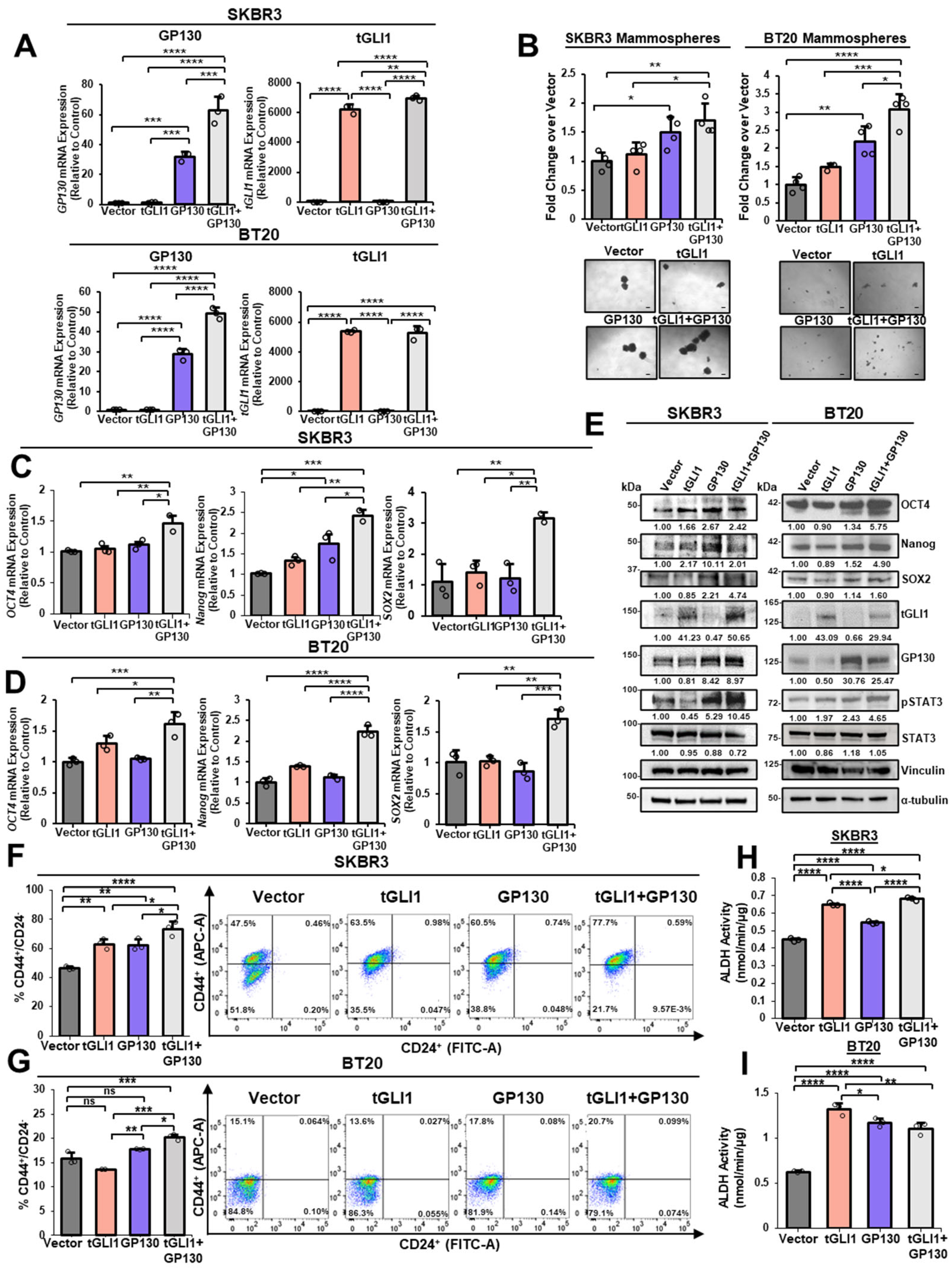 Cells 13 02087 g002 Cells 13 02087 g002