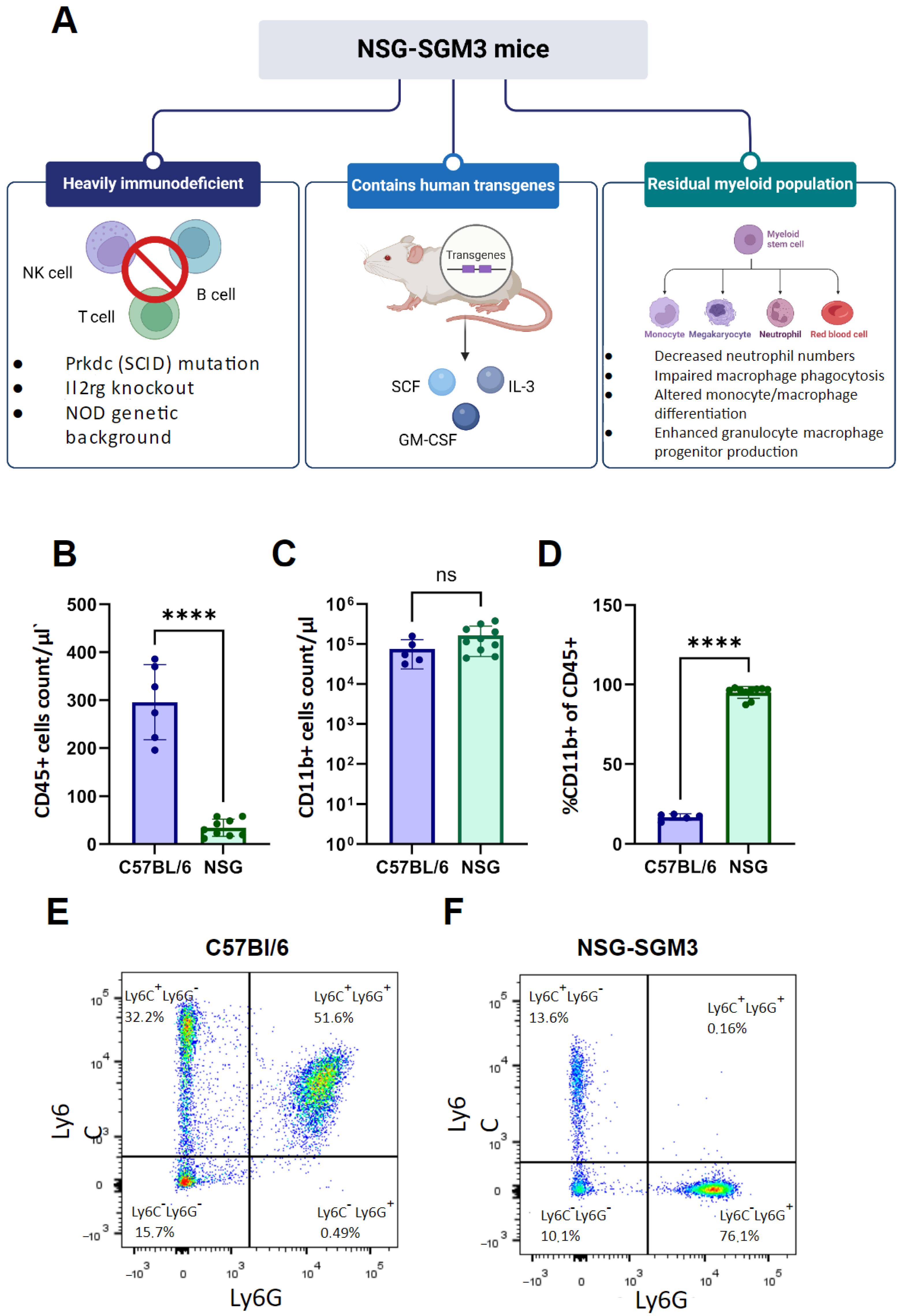 Cells 13 02135 g003 Cells 13 02135 g003