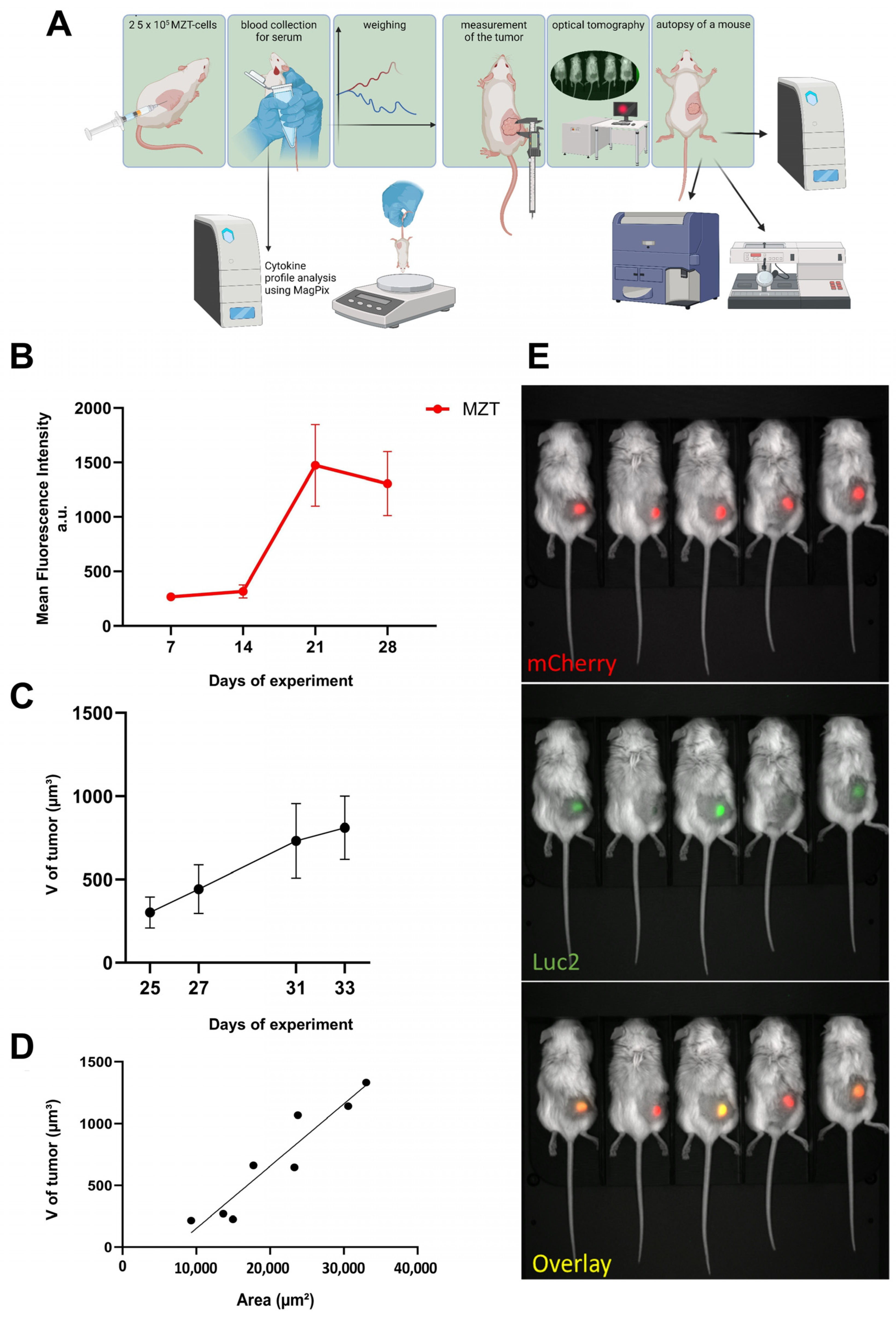 Cells 13 02135 g004 Cells 13 02135 g004