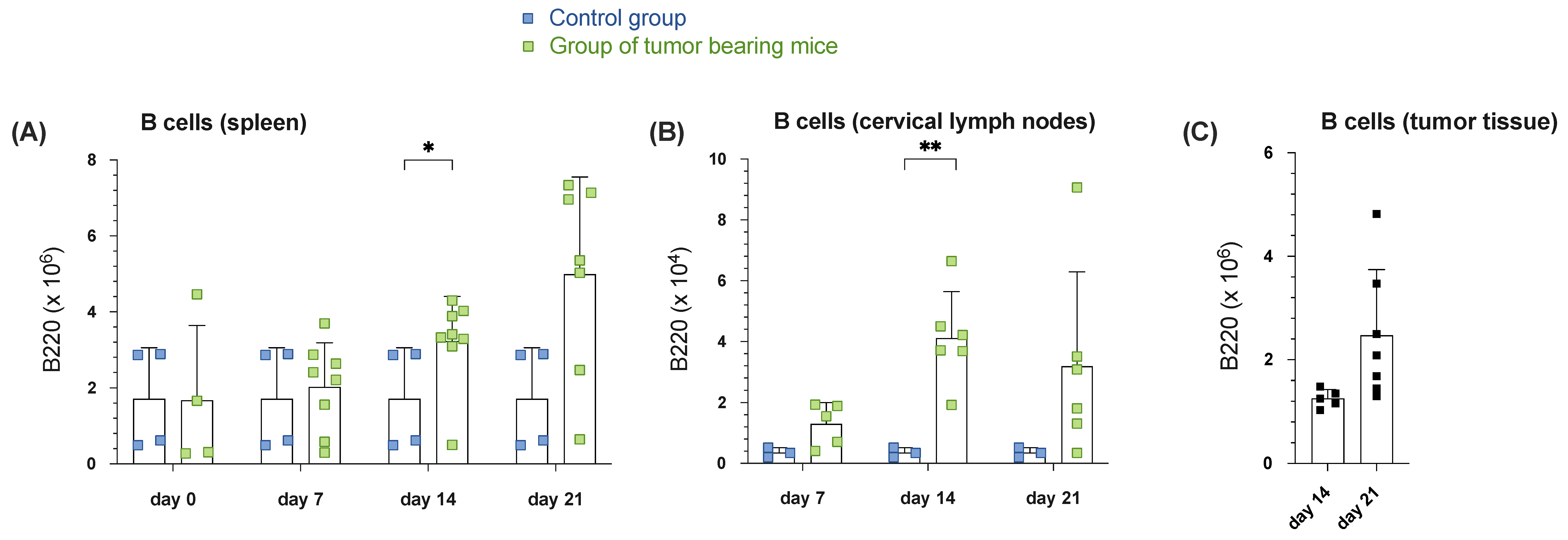 Cells 14 00020 g001 Cells 14 00020 g001