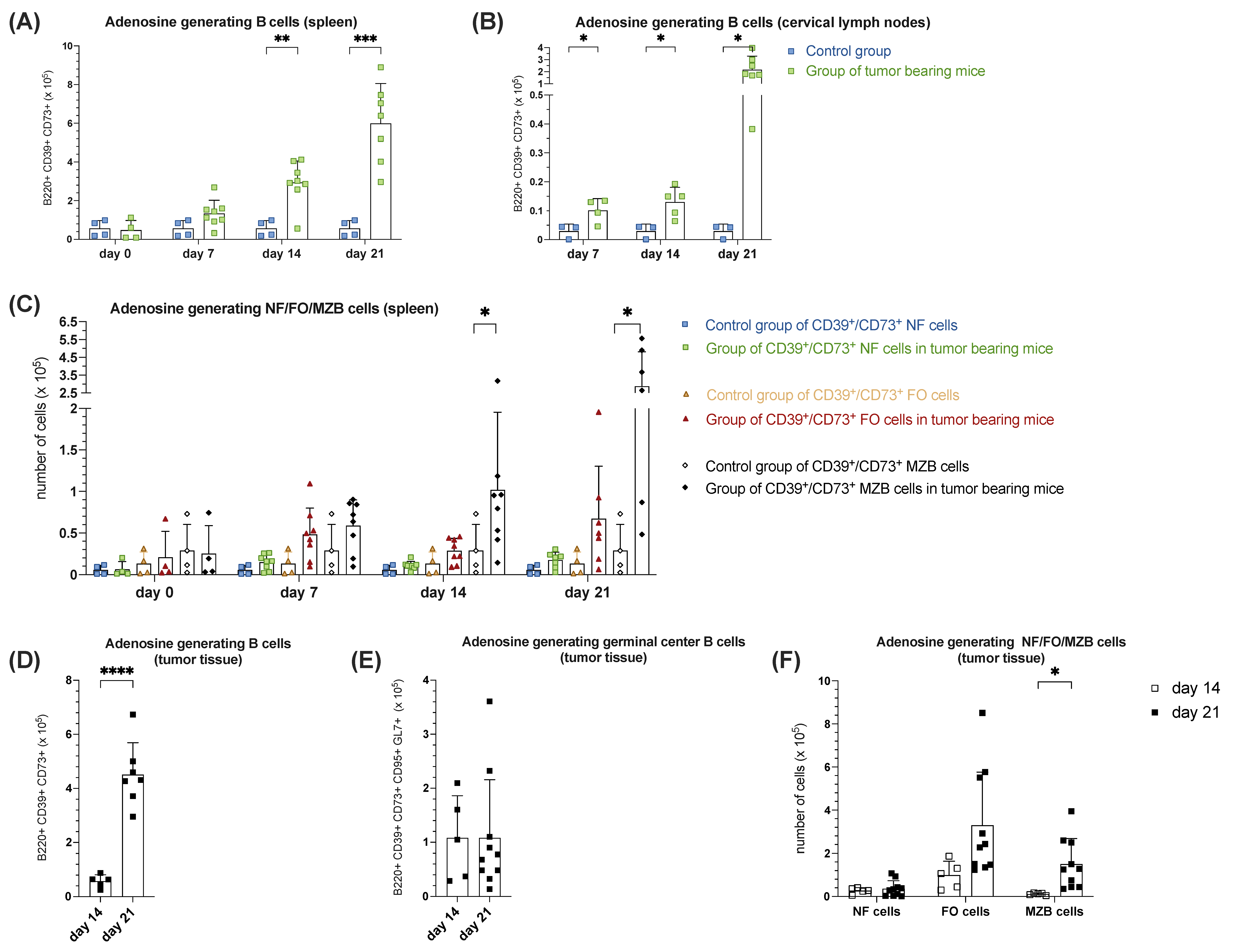 Cells 14 00020 g005 Cells 14 00020 g005