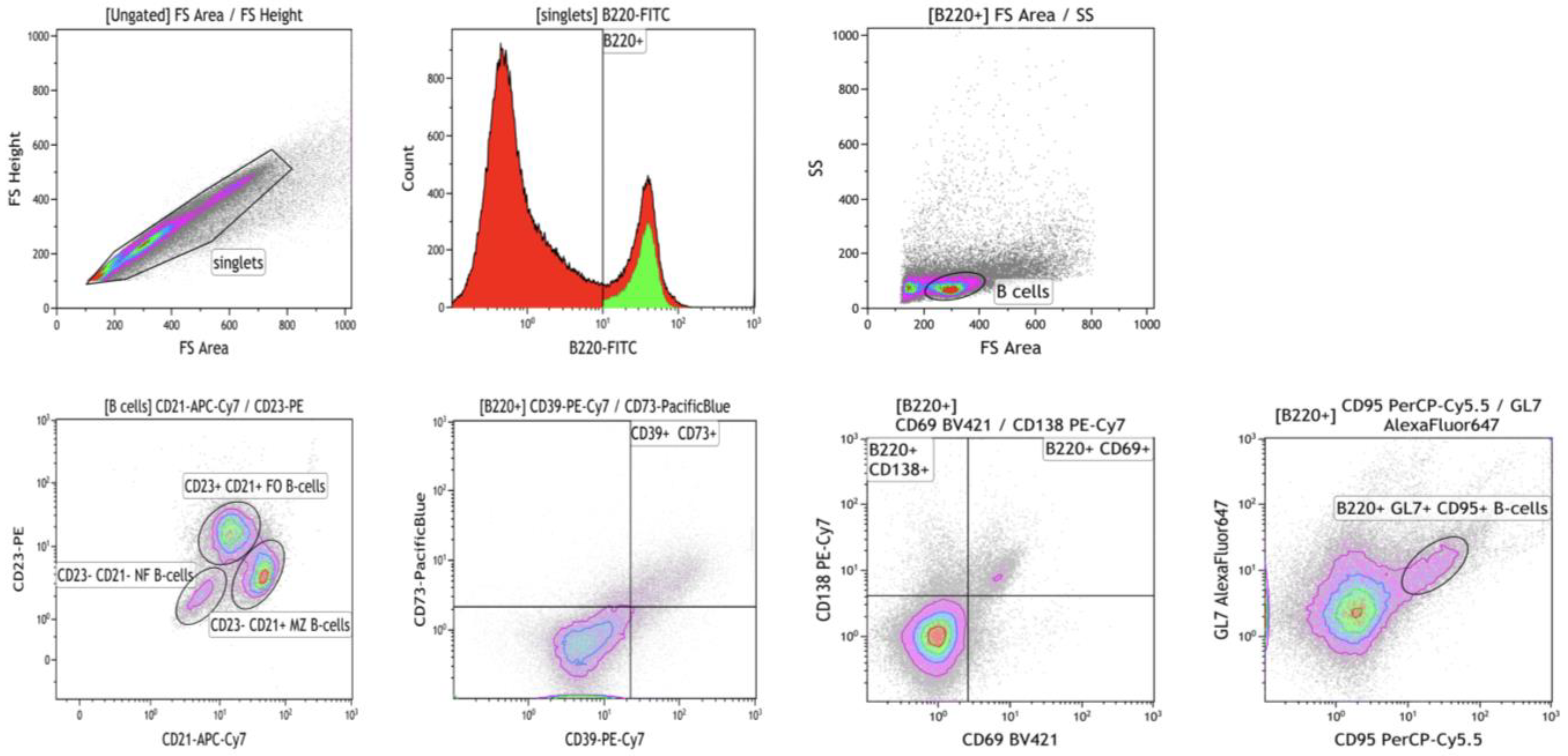 Cells 14 00020 g0a1 Cells 14 00020 g0a1