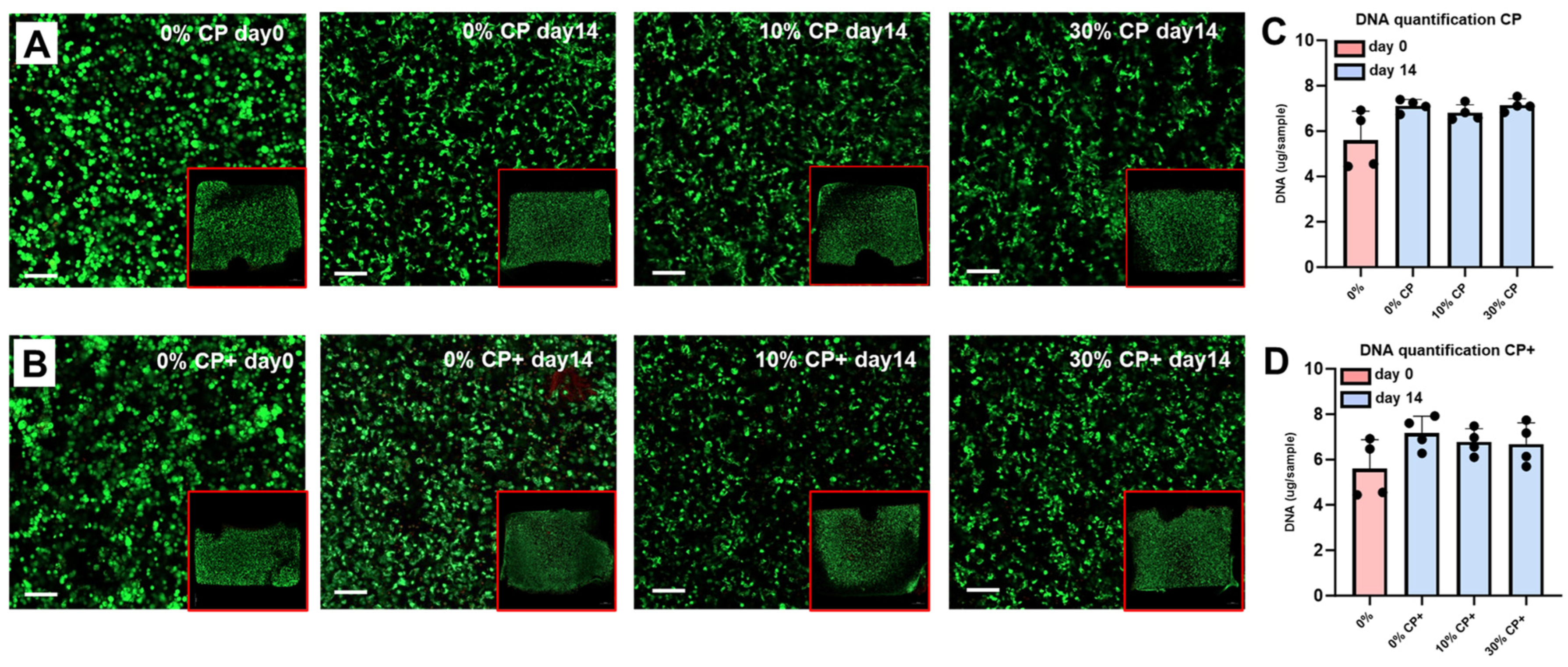 Cells 14 00025 g002 Cells 14 00025 g002