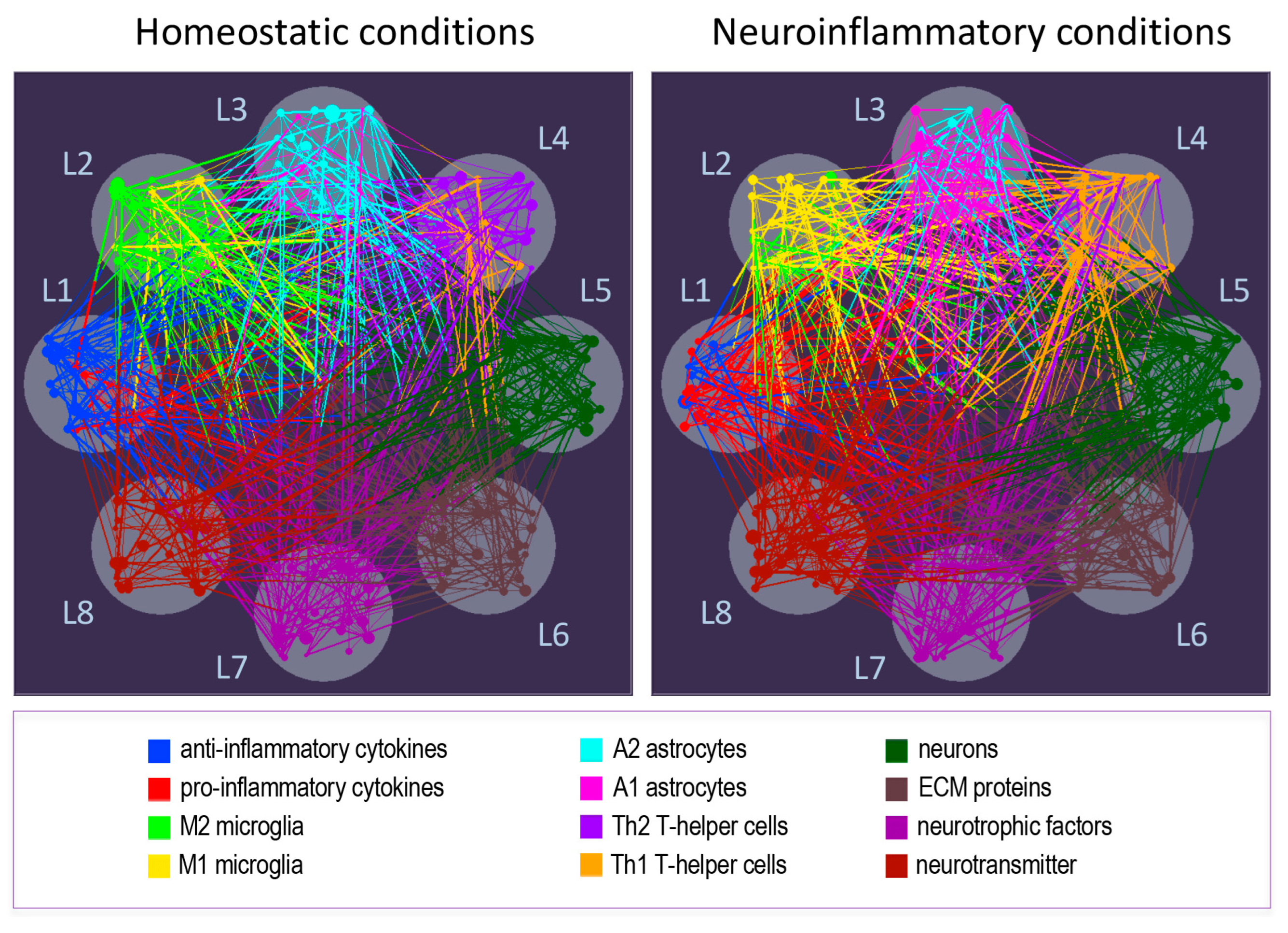 Cells 14 00054 g006 Cells 14 00054 g006