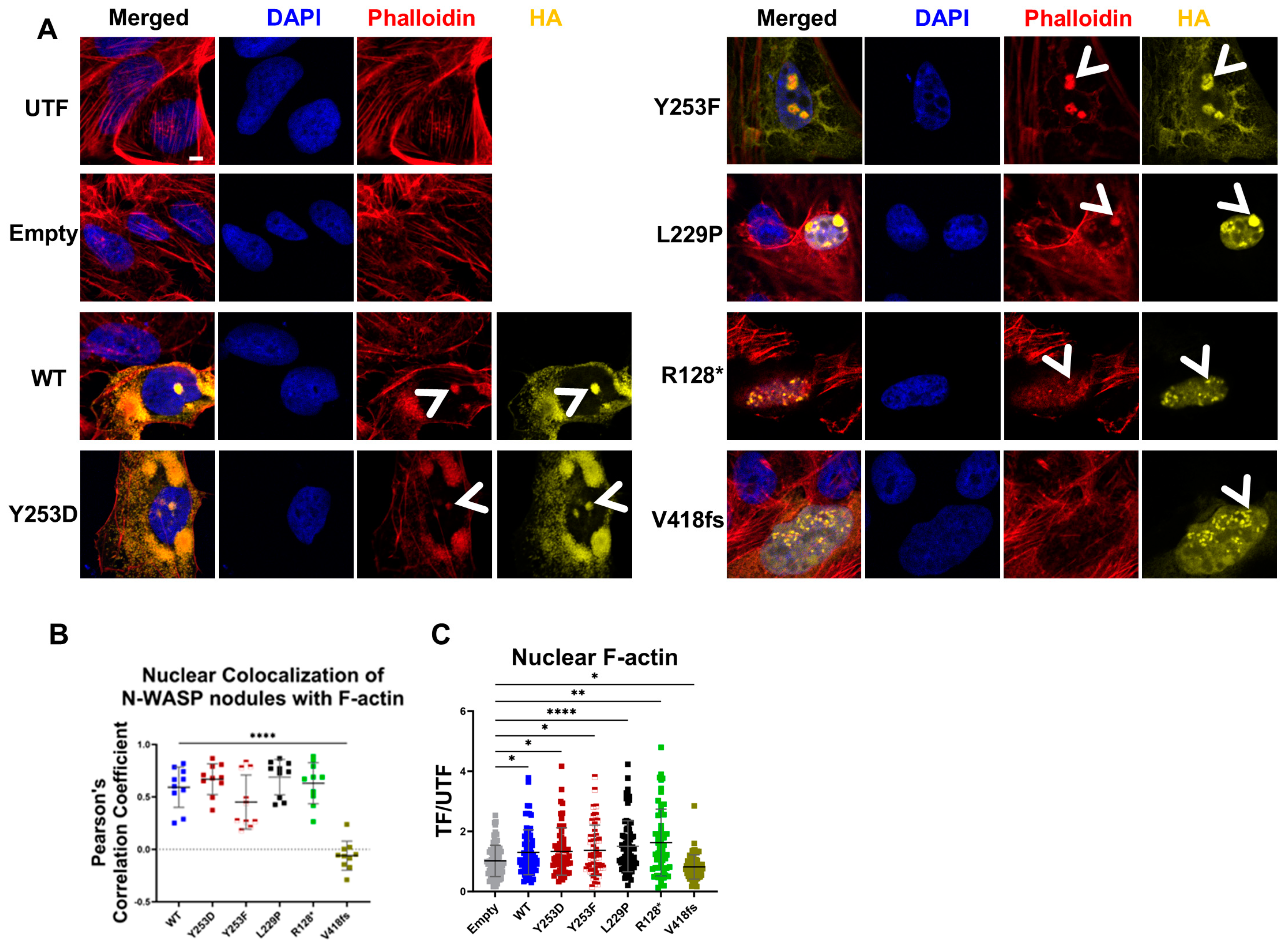 Cells 14 00059 g002 Cells 14 00059 g002