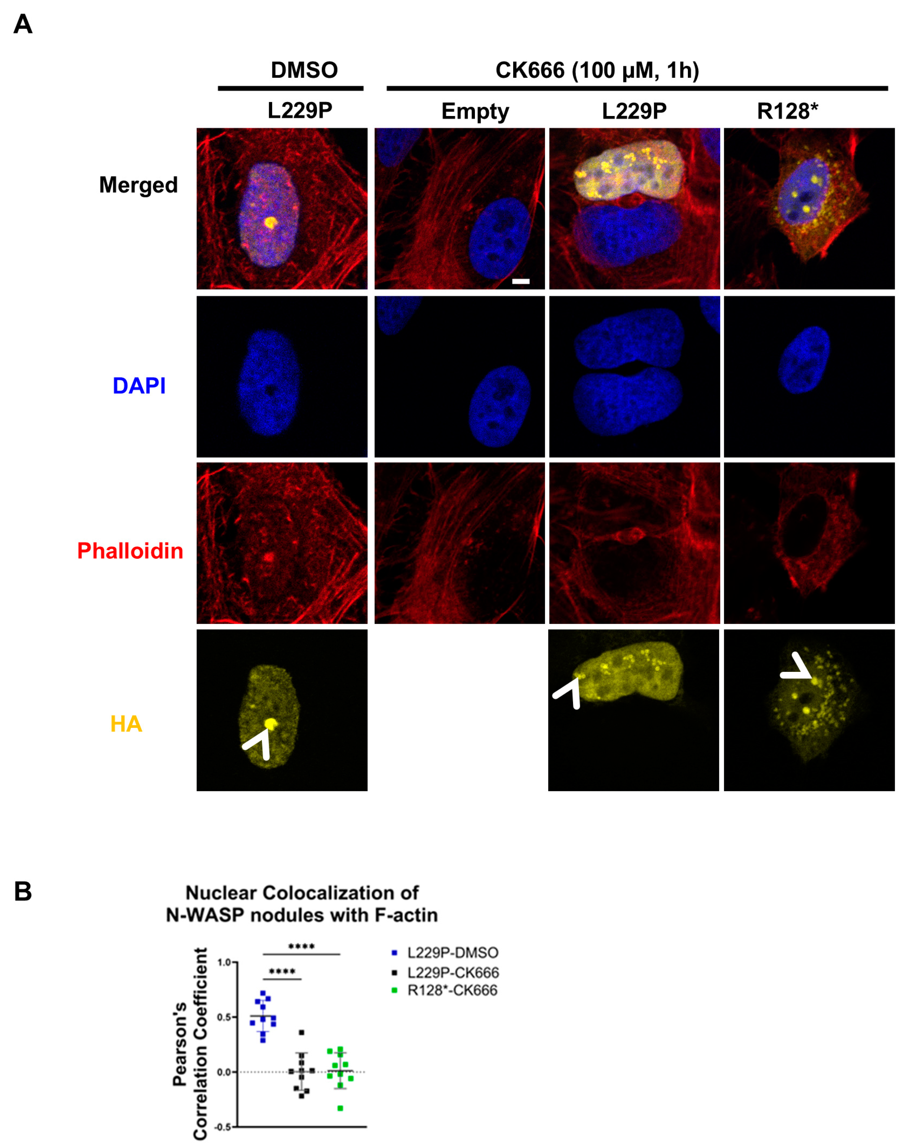 Cells 14 00059 g004 Cells 14 00059 g004