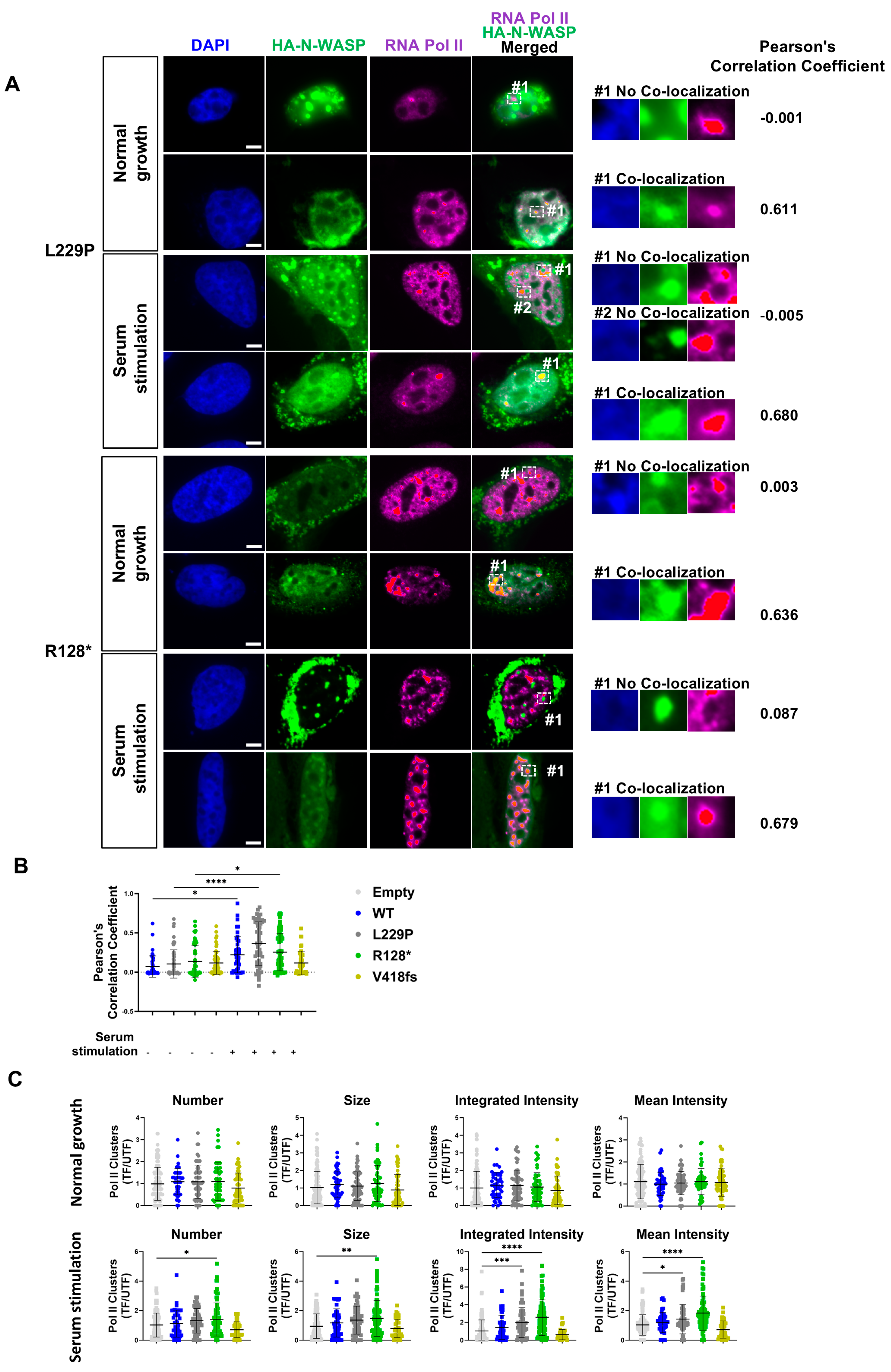 Cells 14 00059 g006 Cells 14 00059 g006