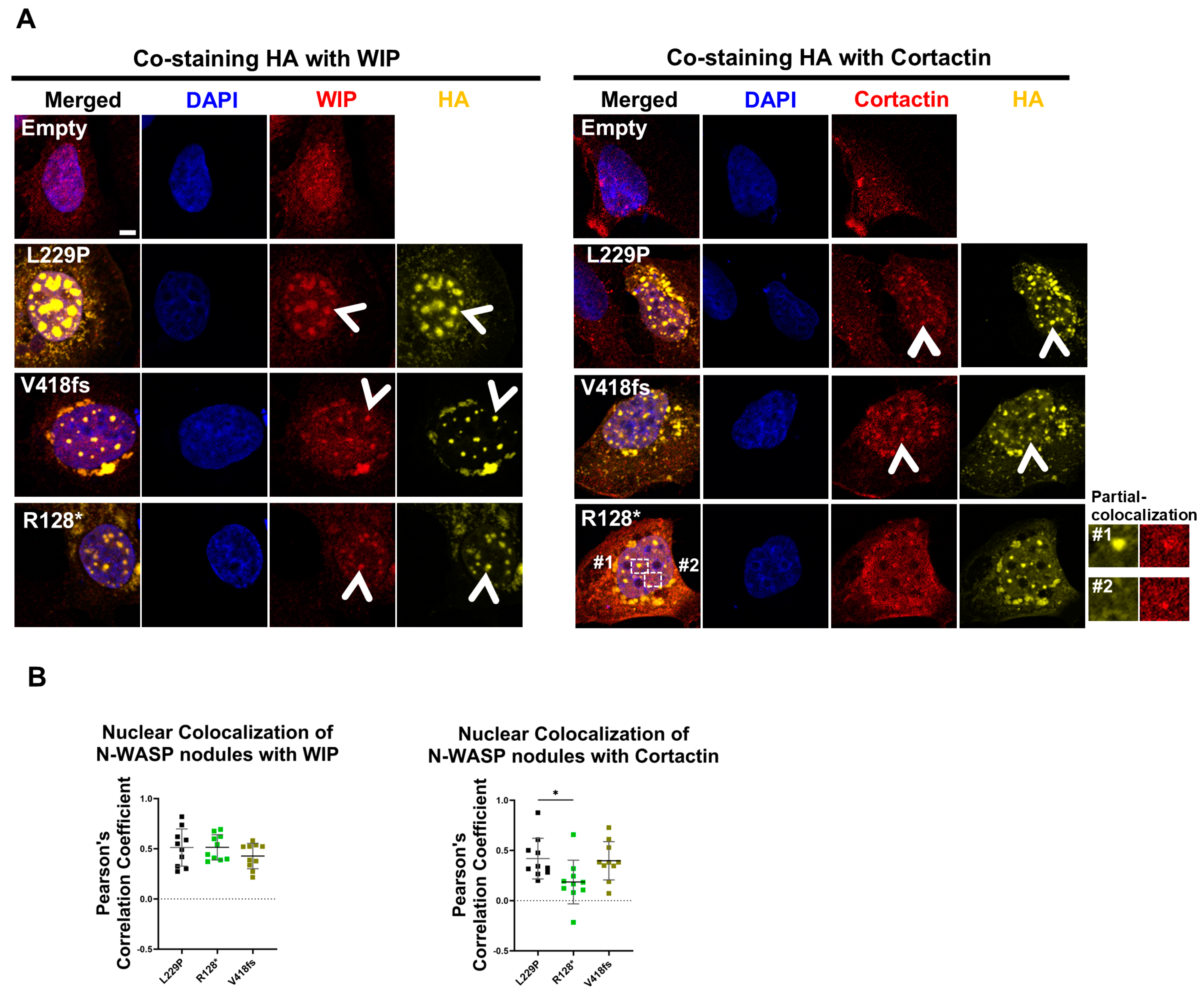 Cells 14 00059 g007 Cells 14 00059 g007